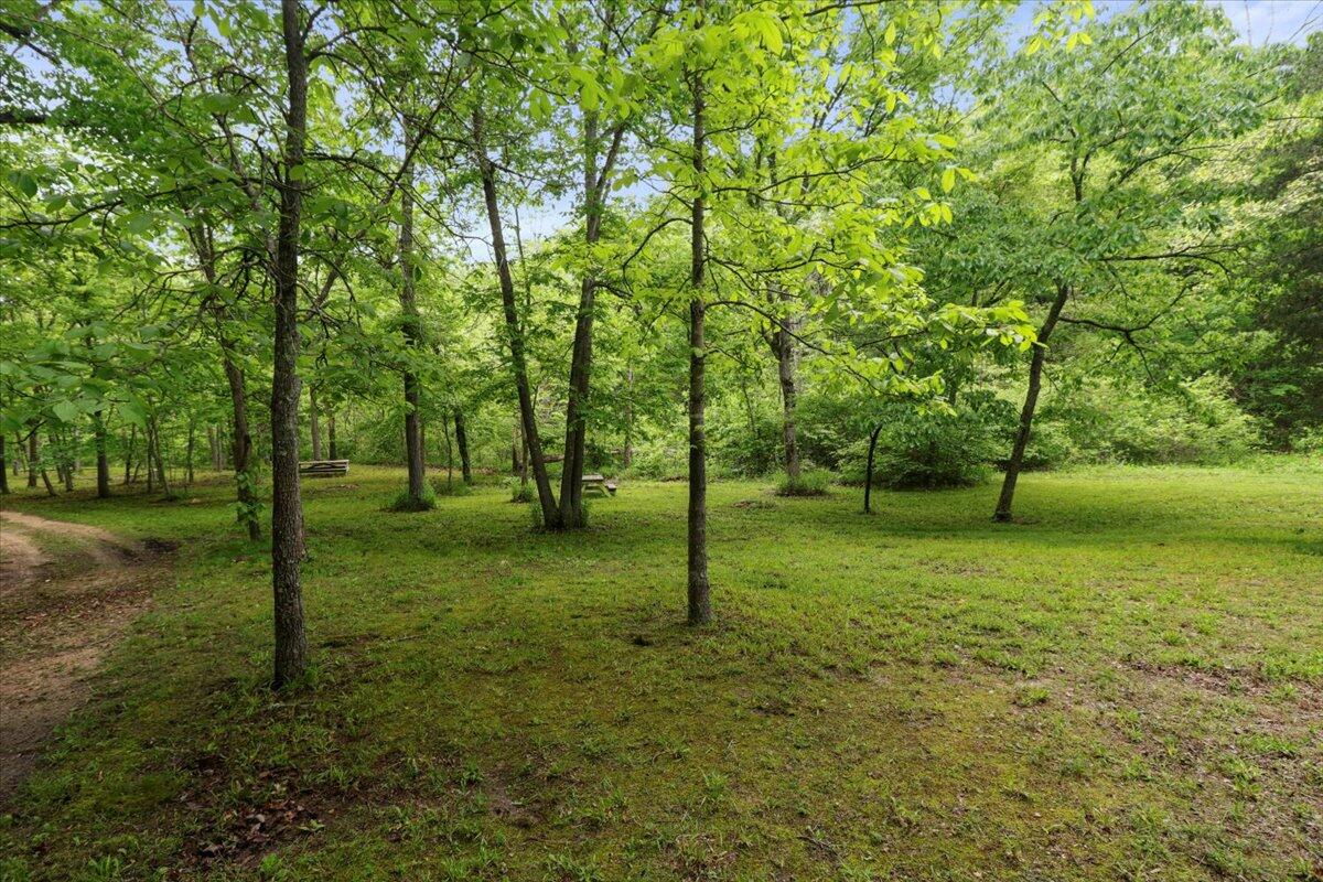 7064 County Road 14-223 Property Photo 8
