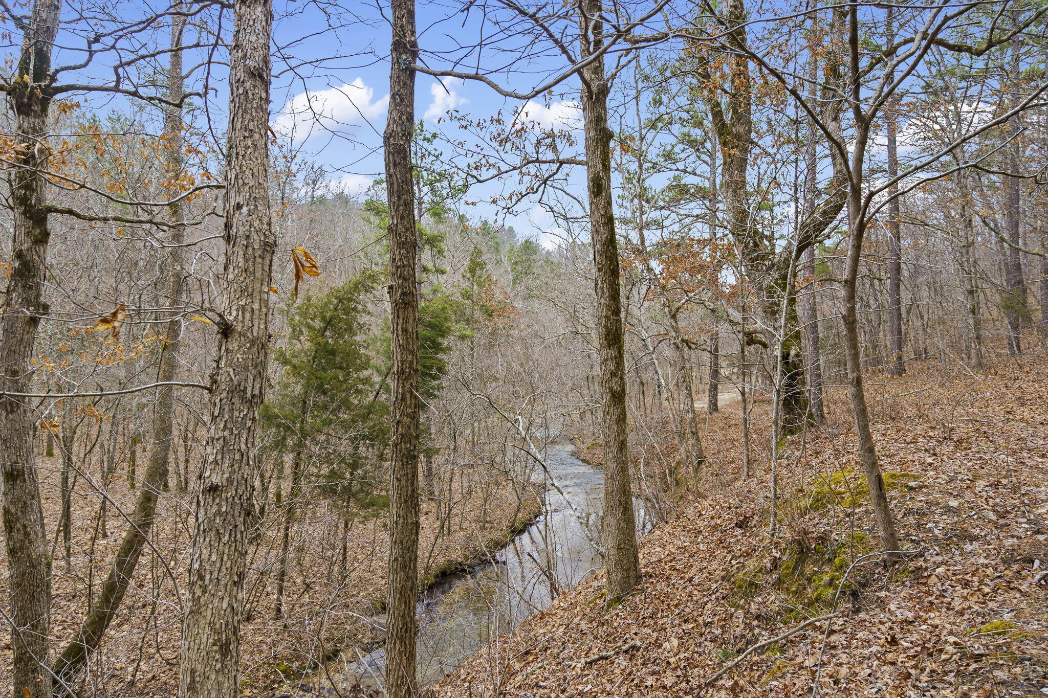 7064 County Road 14-223 Property Photo 41