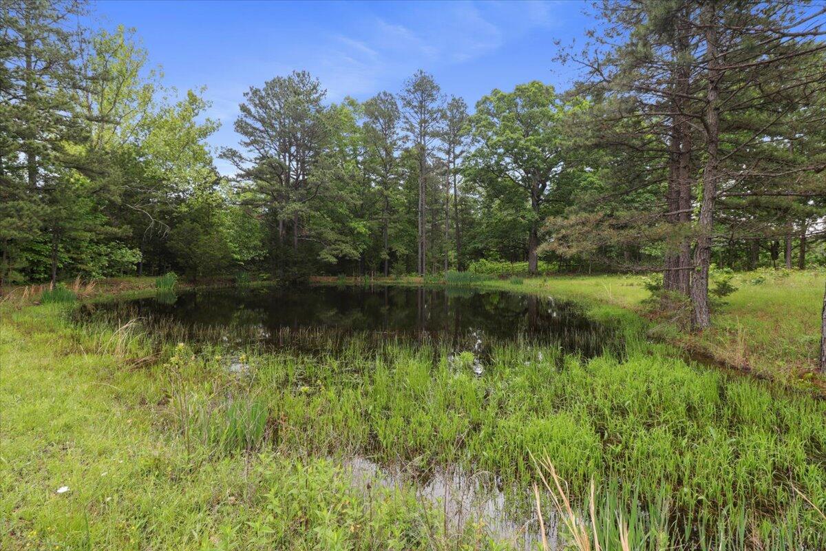 7064 County Road 14-223 Property Photo 71