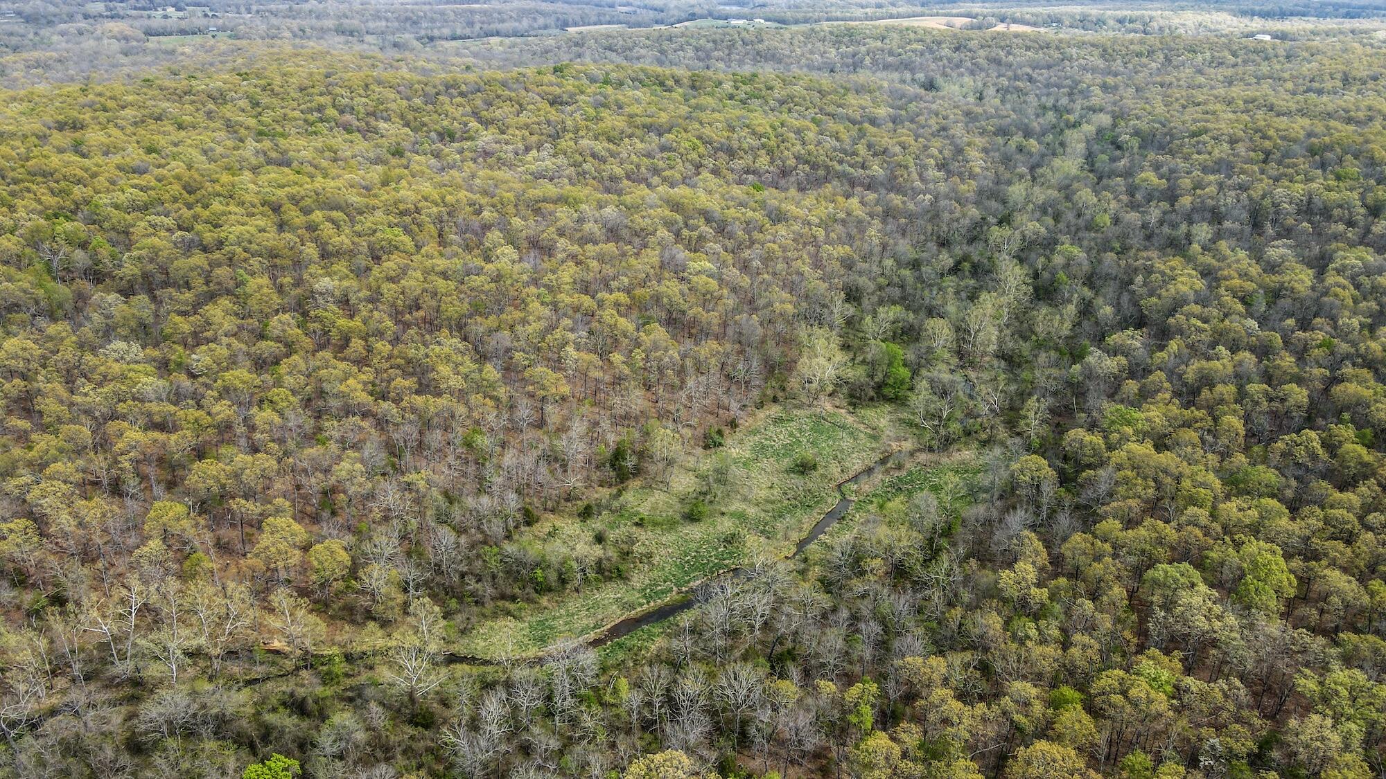 000 State Route E Property Photo 6
