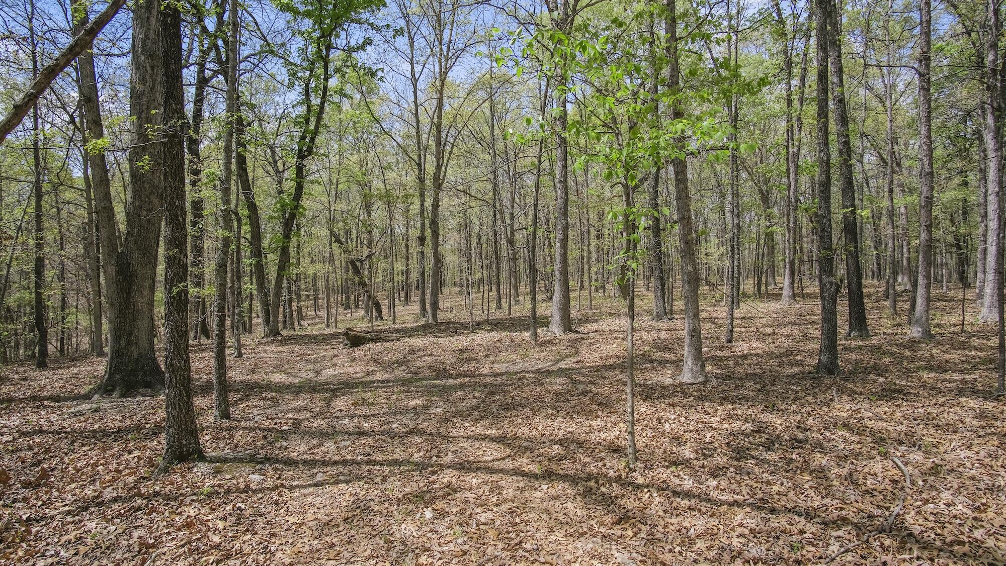 000 State Route E Property Photo 8