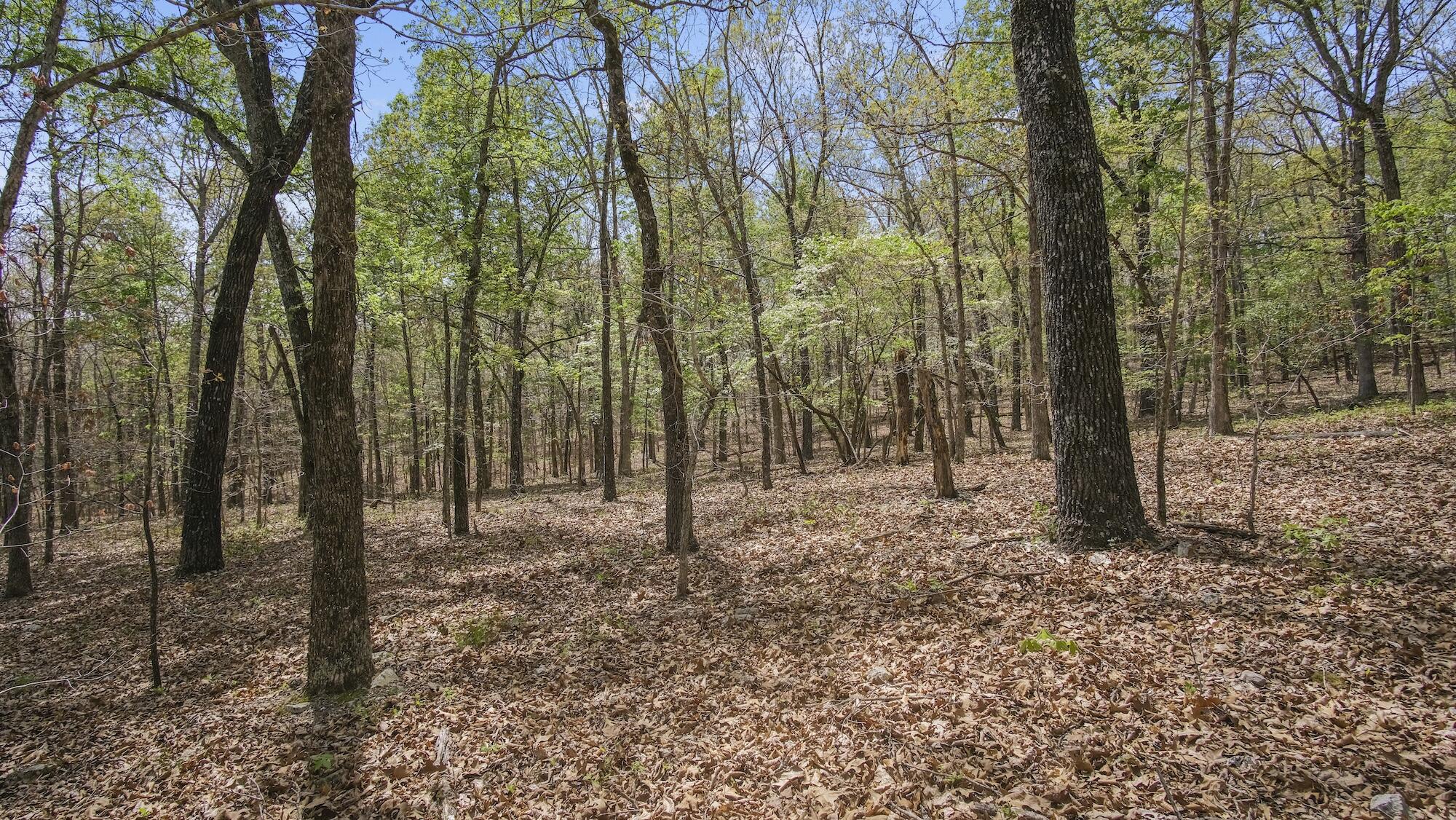 000 State Route E Property Photo 10