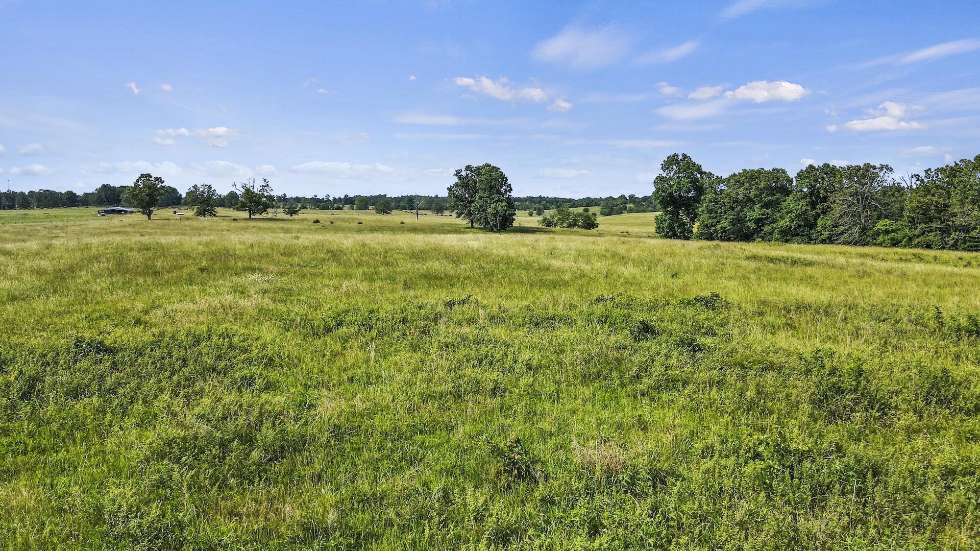 000 State Route E Property Photo 13
