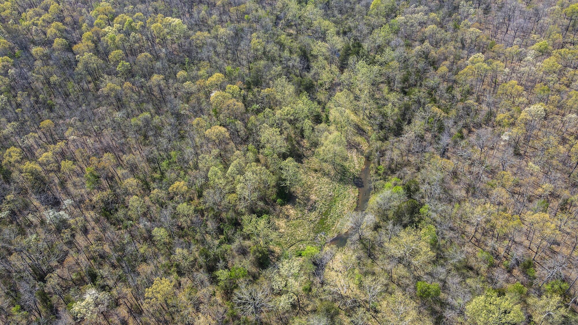 000 State Route E Property Photo 15