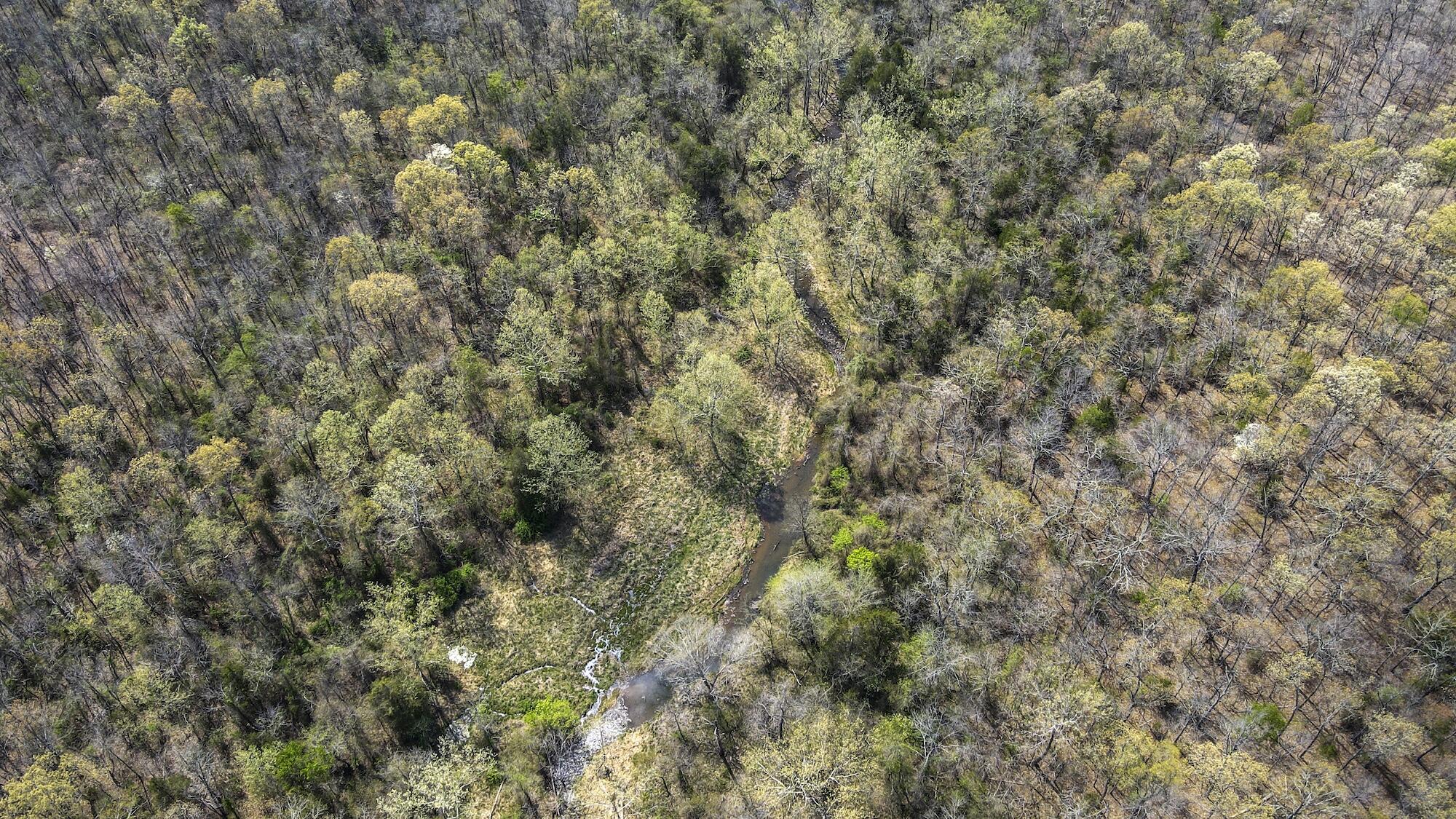 000 State Route E Property Photo 17