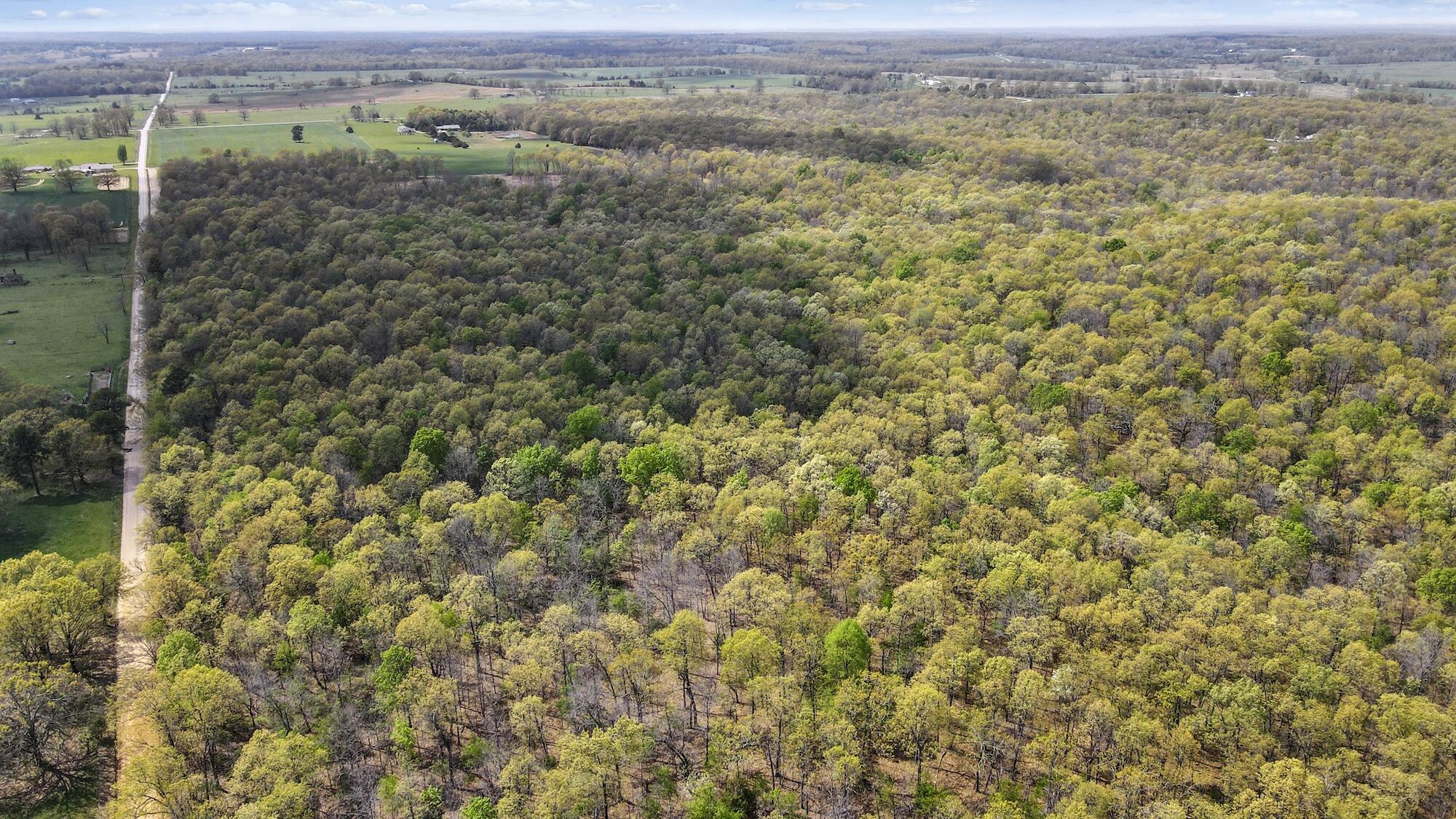 000 State Route E Property Photo 18