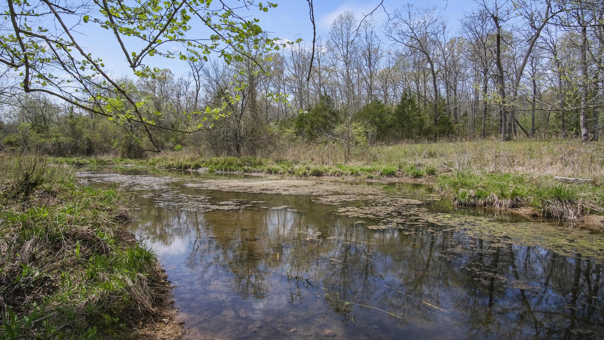 000 State Route E Property Photo 19