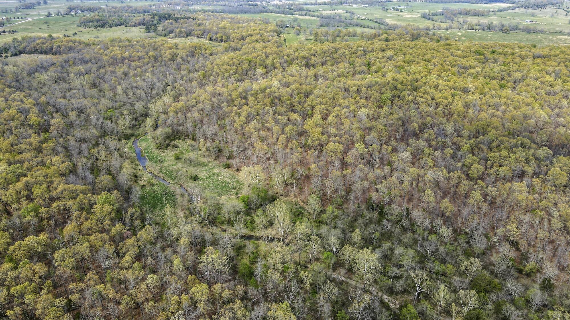 000 State Route E Property Photo 20