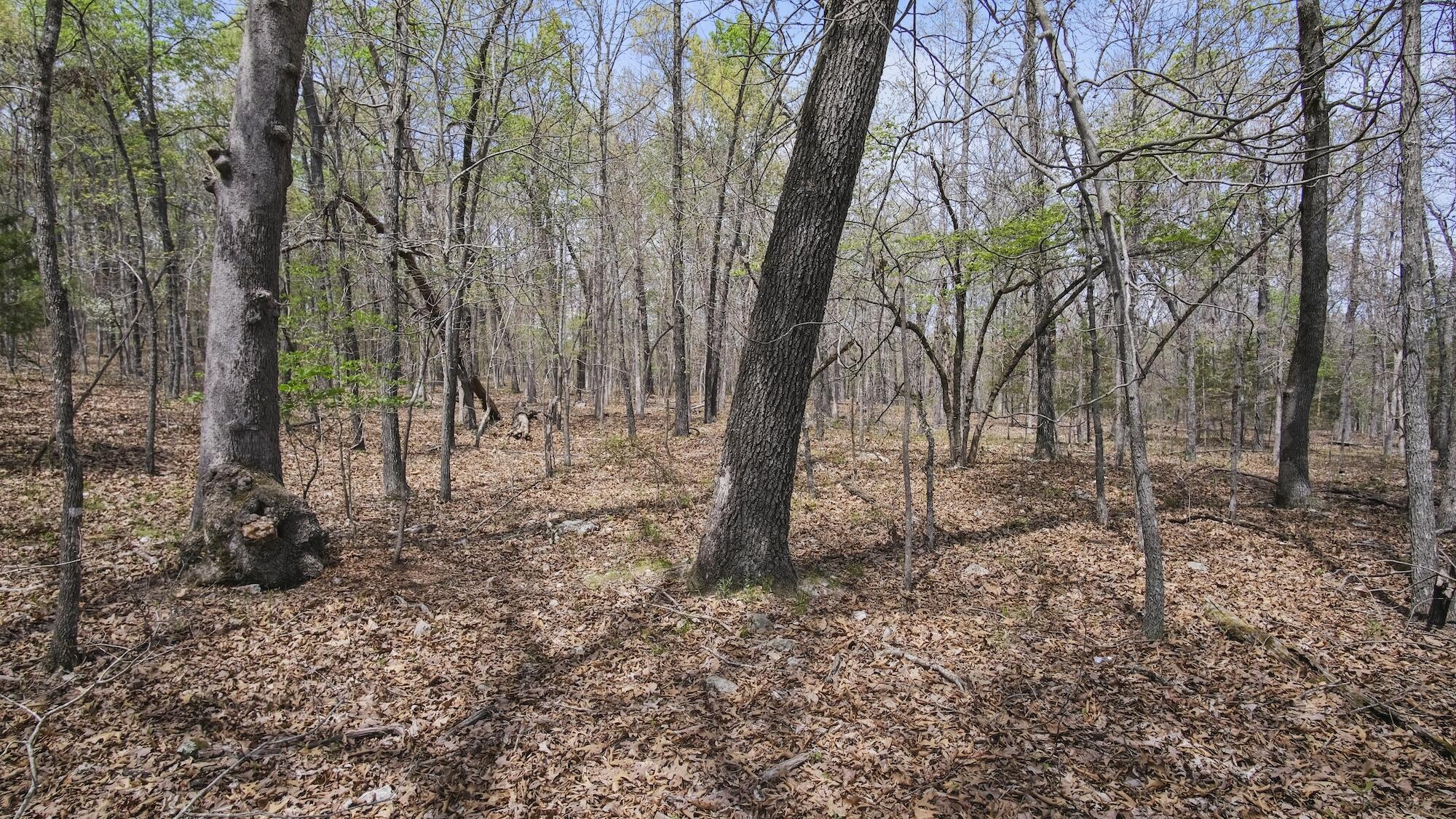 000 State Route E Property Photo 22