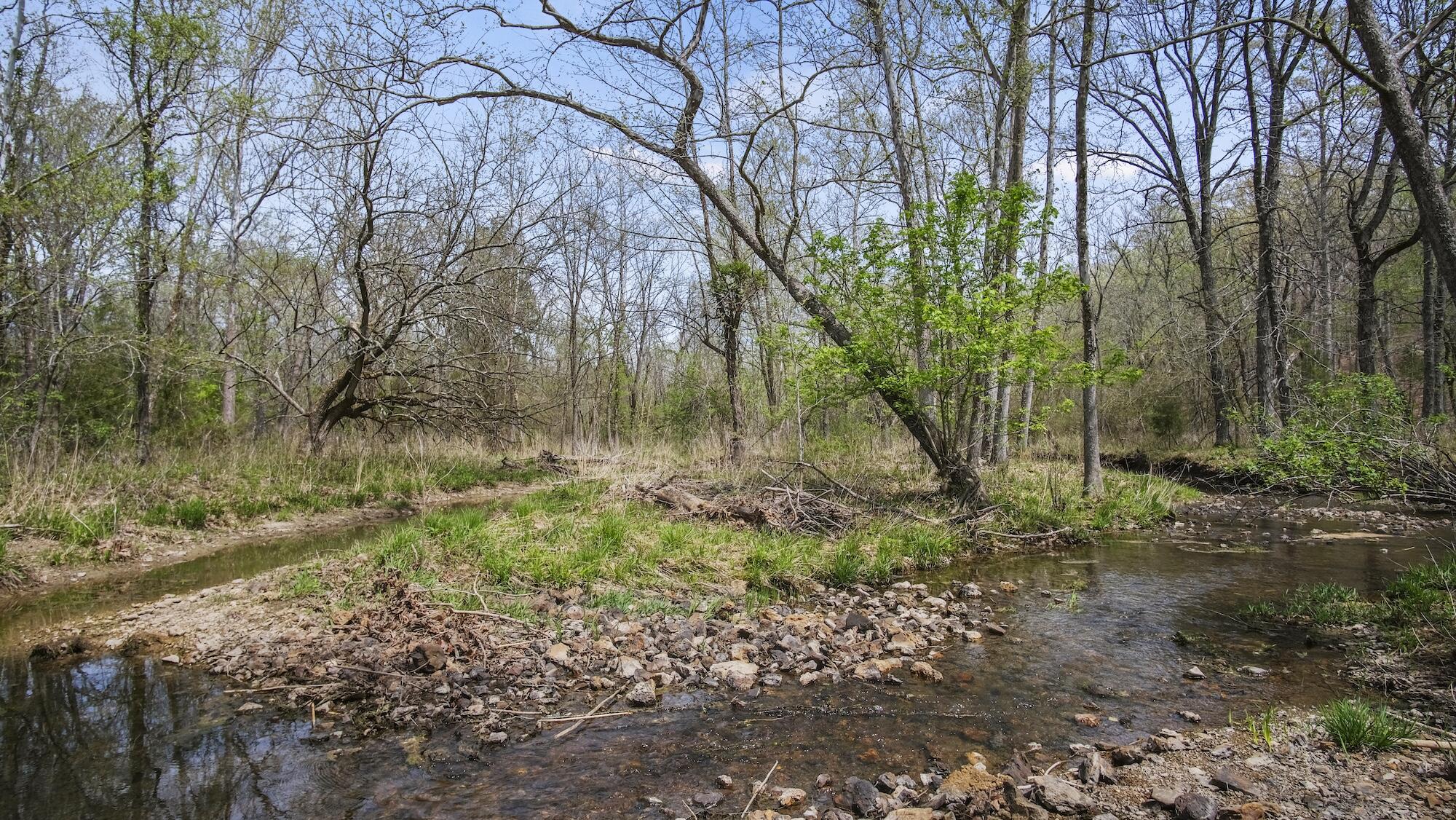 000 State Route E Property Photo 24