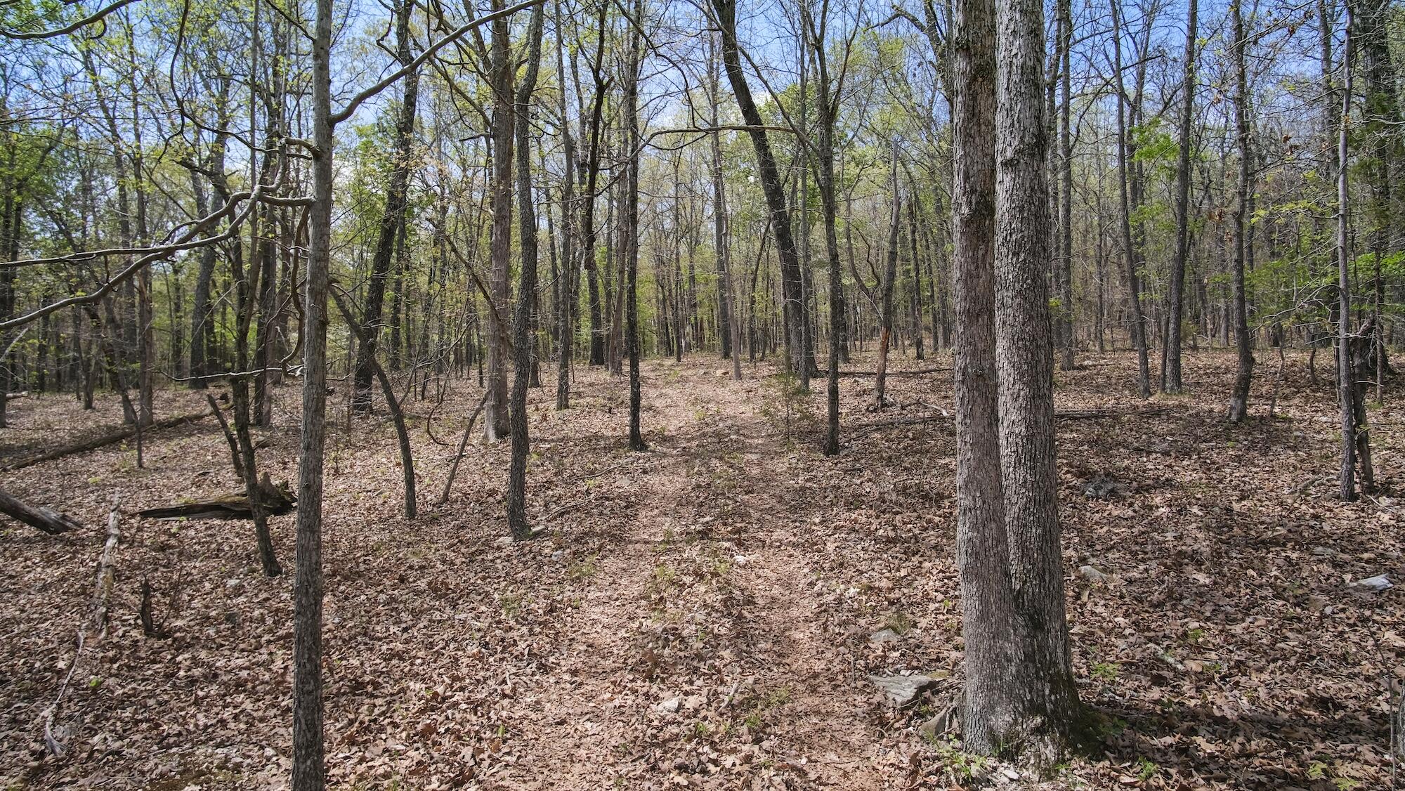 000 State Route E Property Photo 26