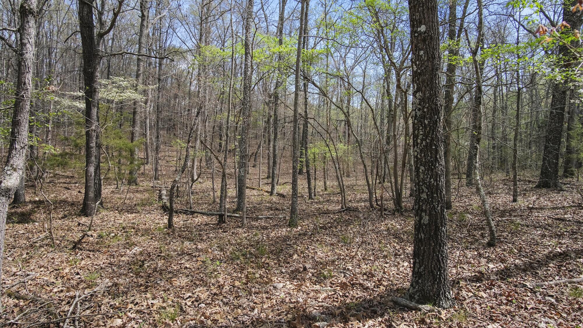 000 State Route E Property Photo 28