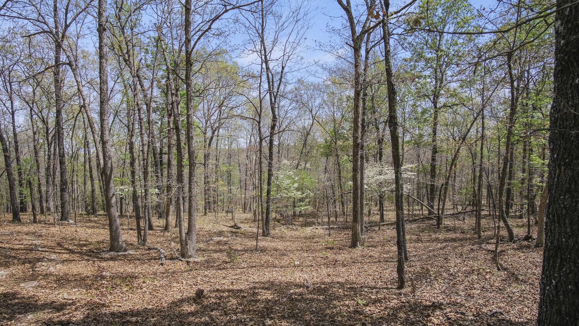 000 State Route E Property Photo 30