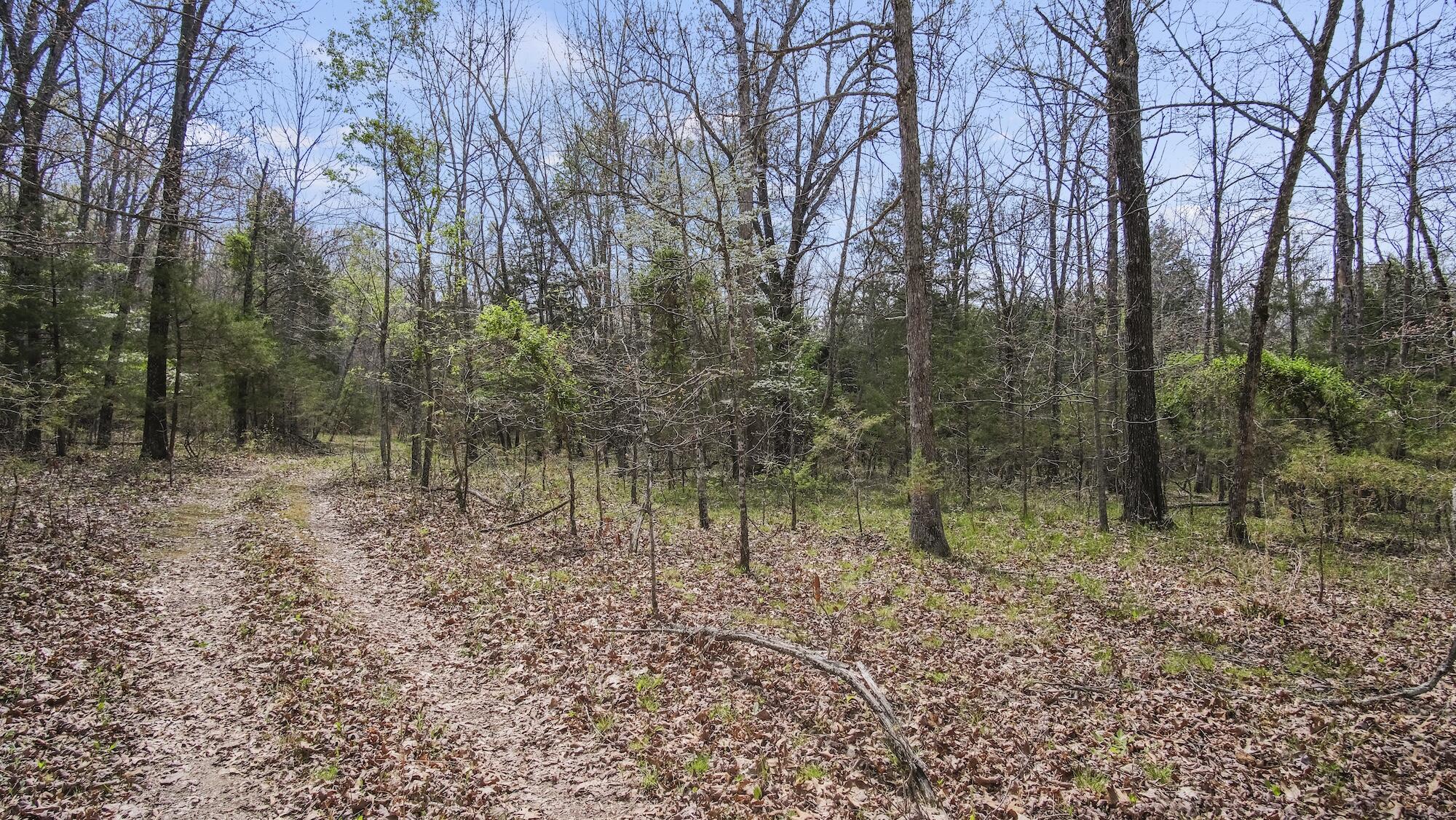 000 State Route E Property Photo 32