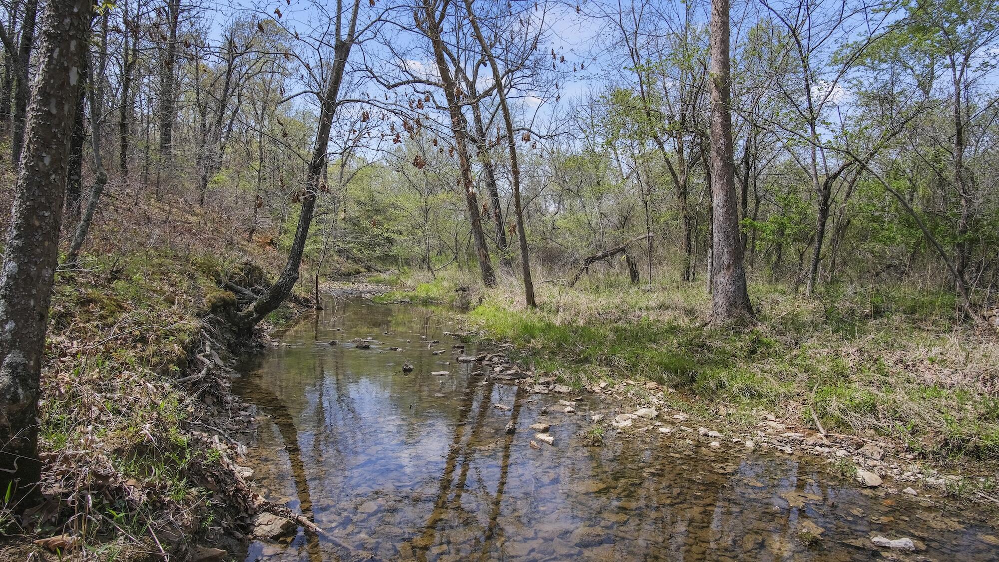 000 State Route E Property Photo 33