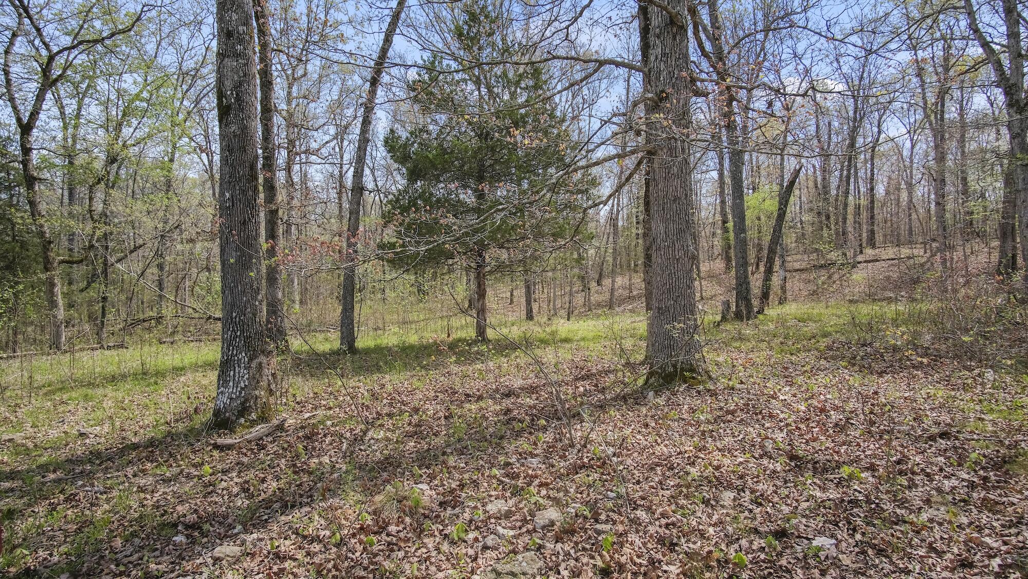 000 State Route E Property Photo 35