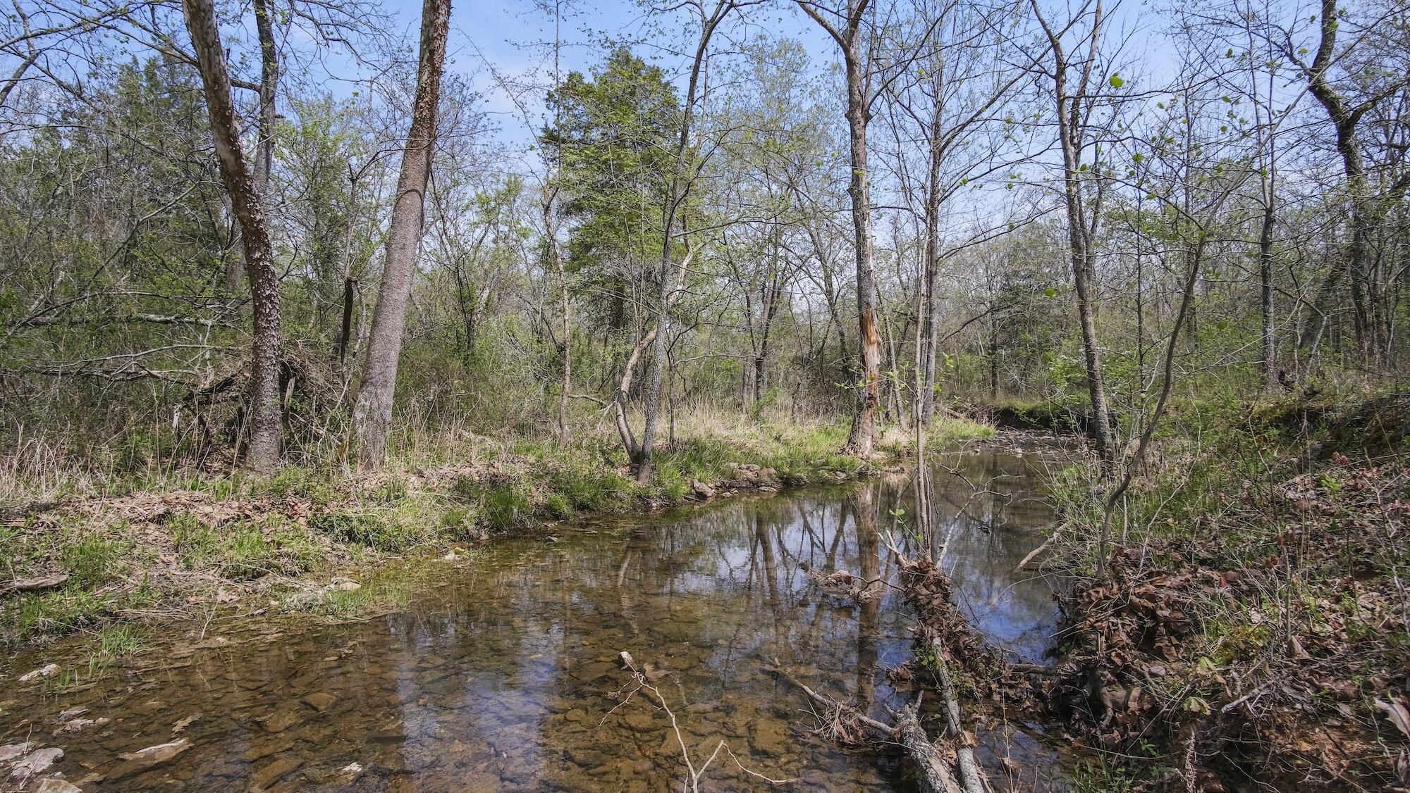 000 State Route E Property Photo 44