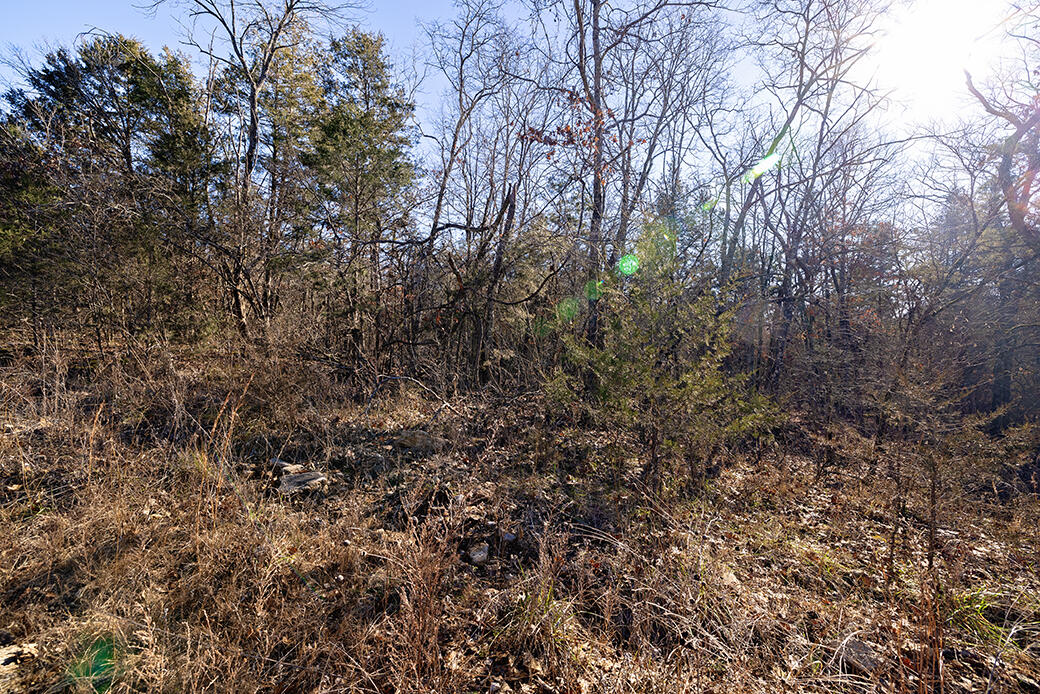 Lot 4 Sandstone Road Property Photo 2