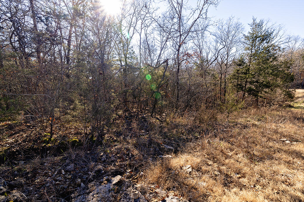 Lot 4 Sandstone Road Property Photo 3