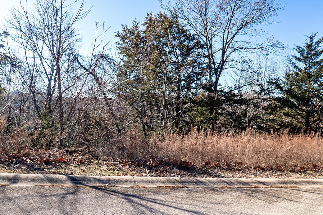 Lot 353 Emerald Isle Drive Property Photo 32