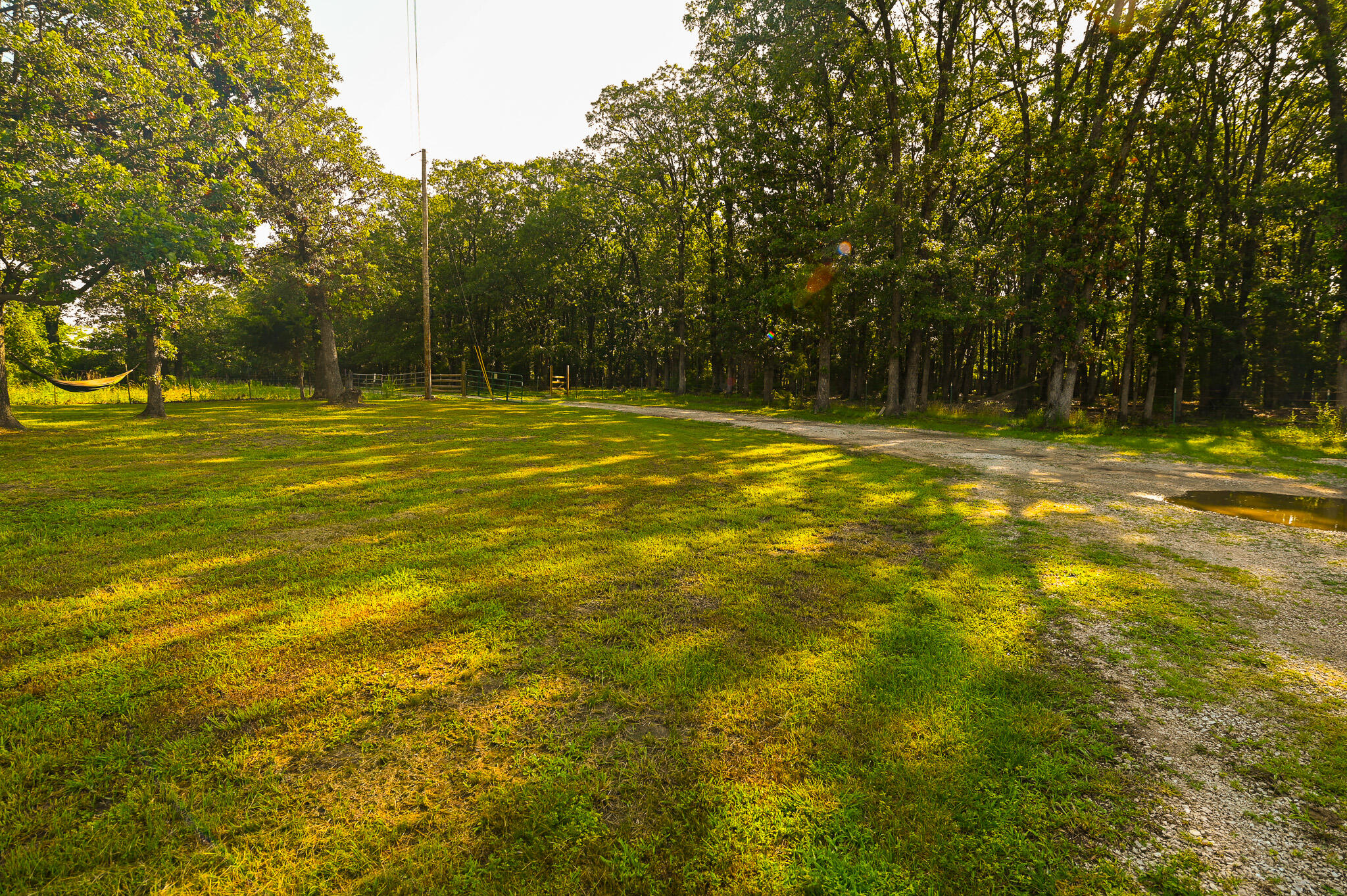 242 State Rte Y Property Photo 14