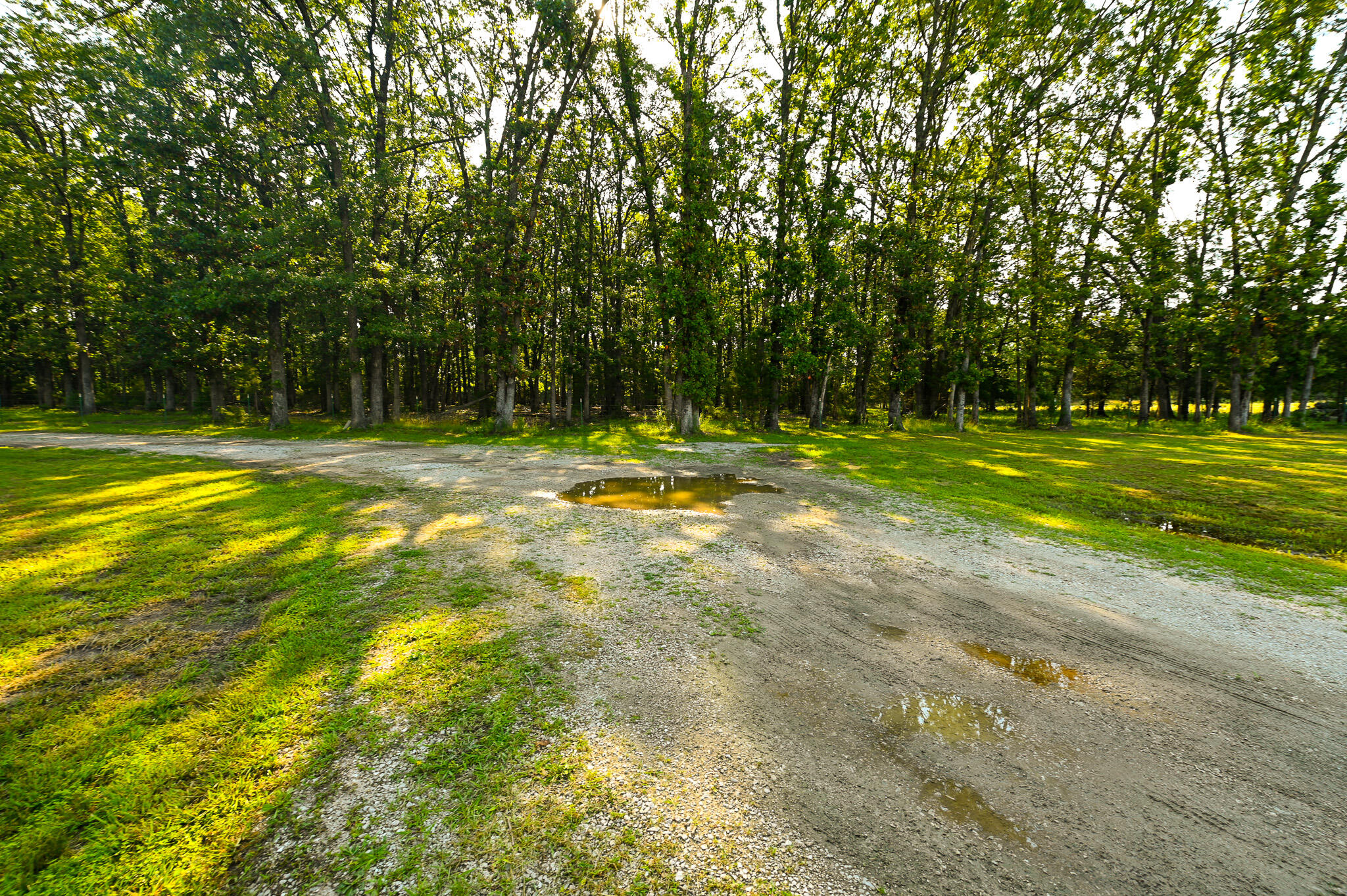 242 State Rte Y Property Photo 17