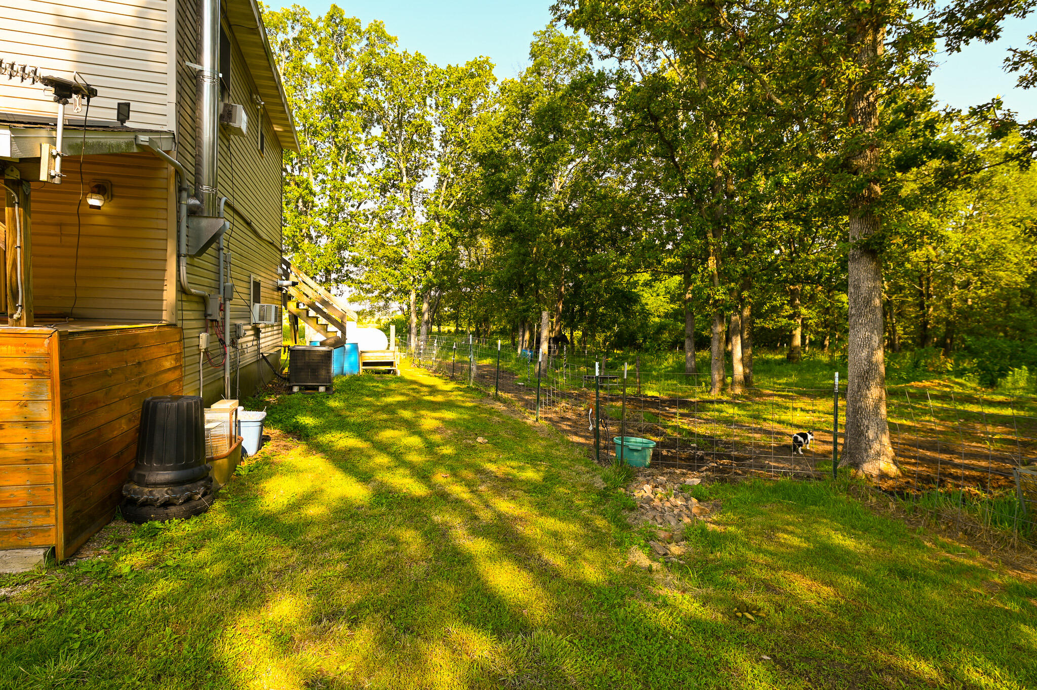242 State Rte Y Property Photo 22