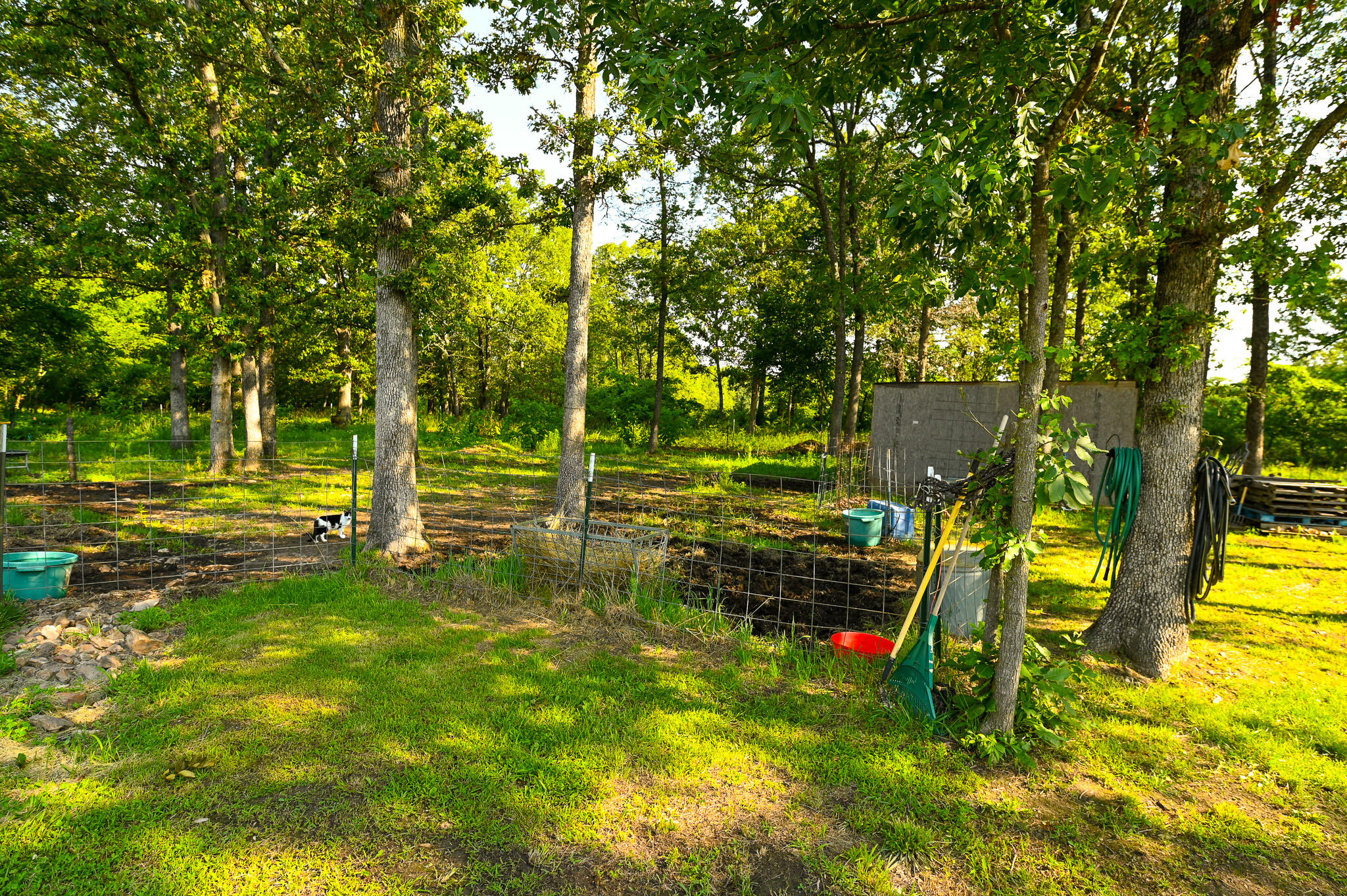 242 State Rte Y Property Photo 23