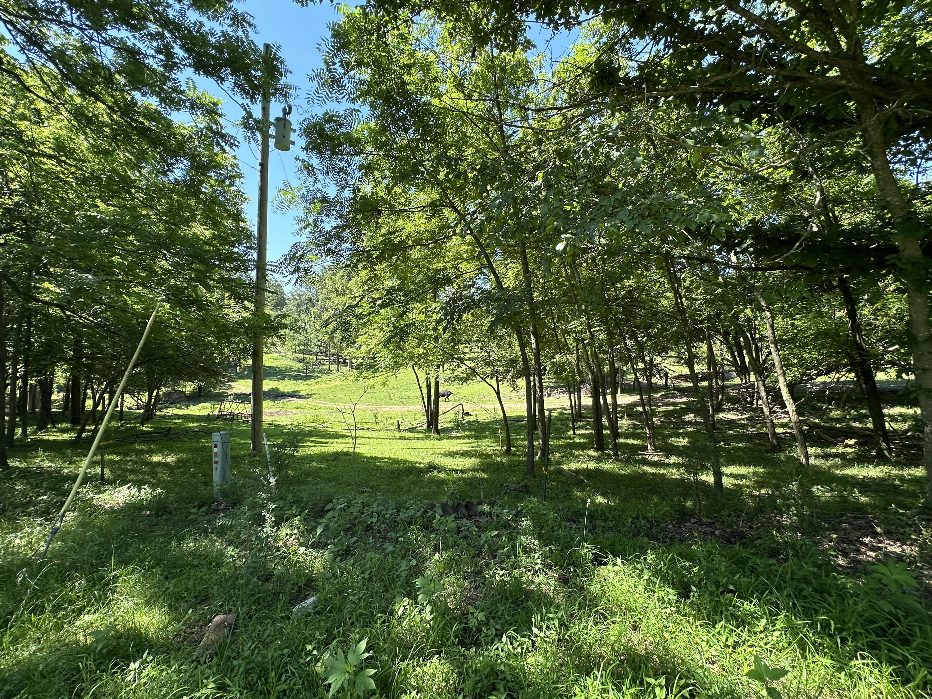 443 Marsha Road Property Photo 11