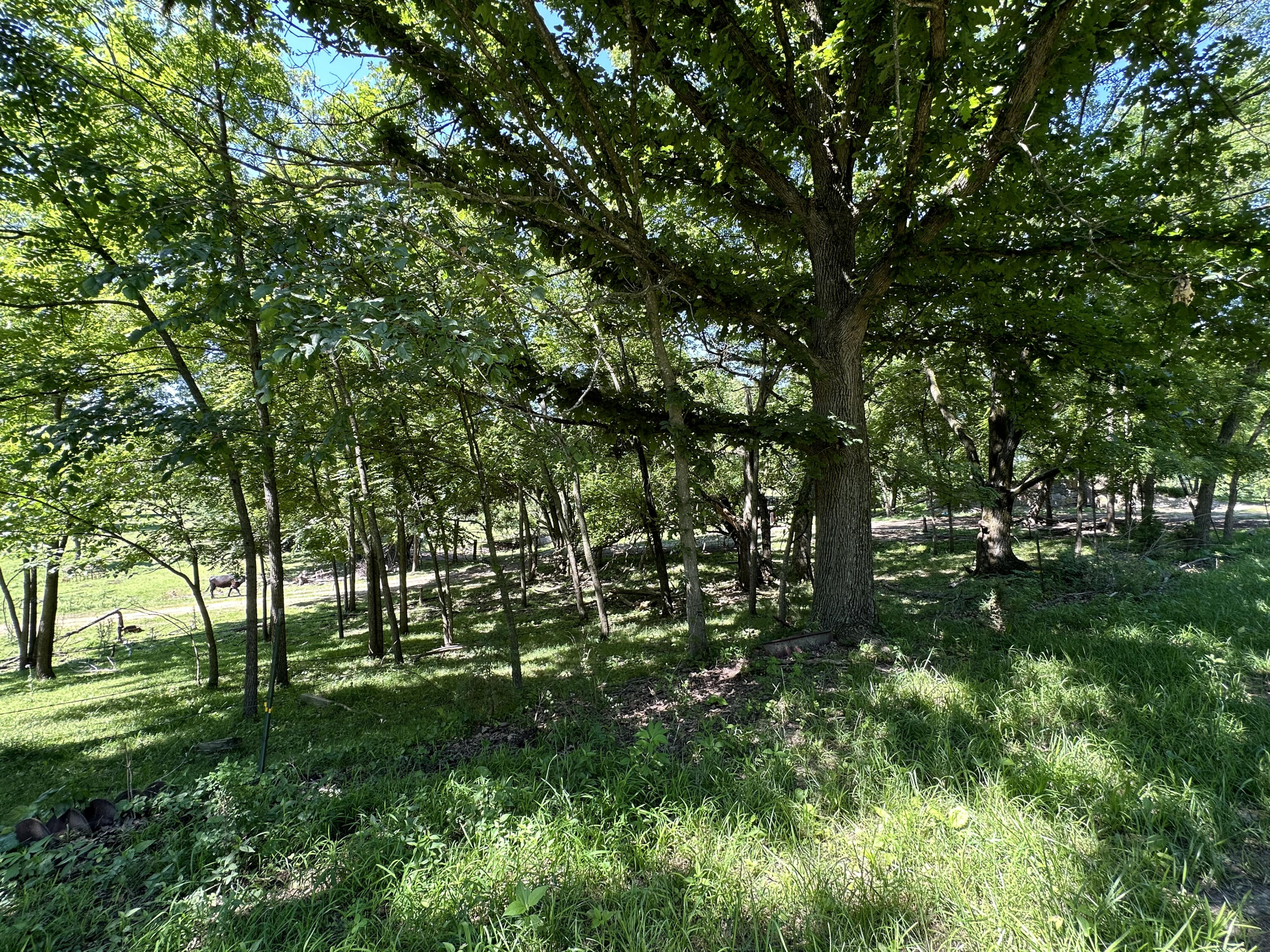 443 Marsha Road Property Photo 13