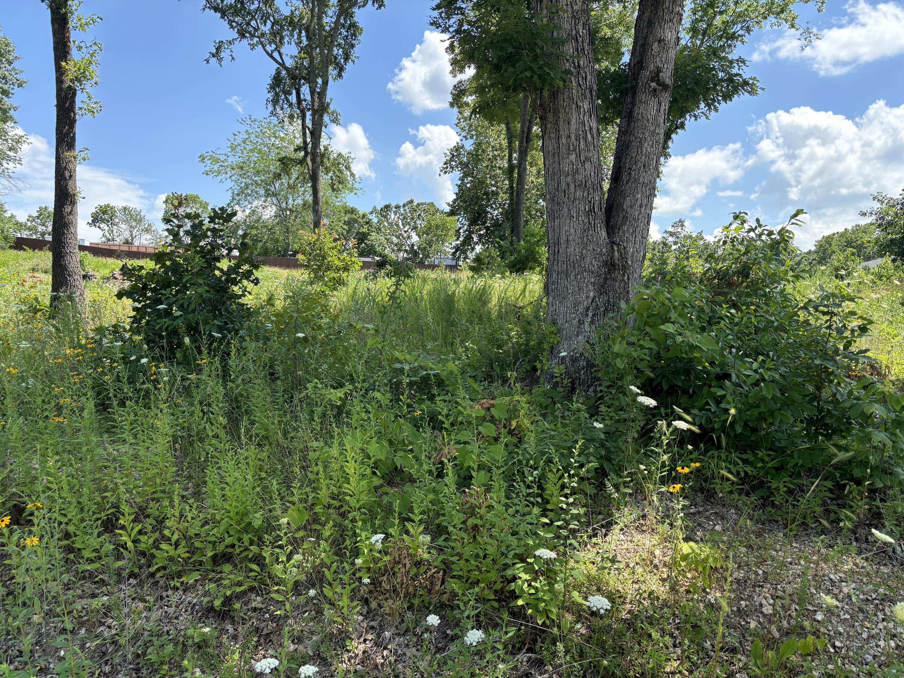 56 Northfork Lane Property Photo 1