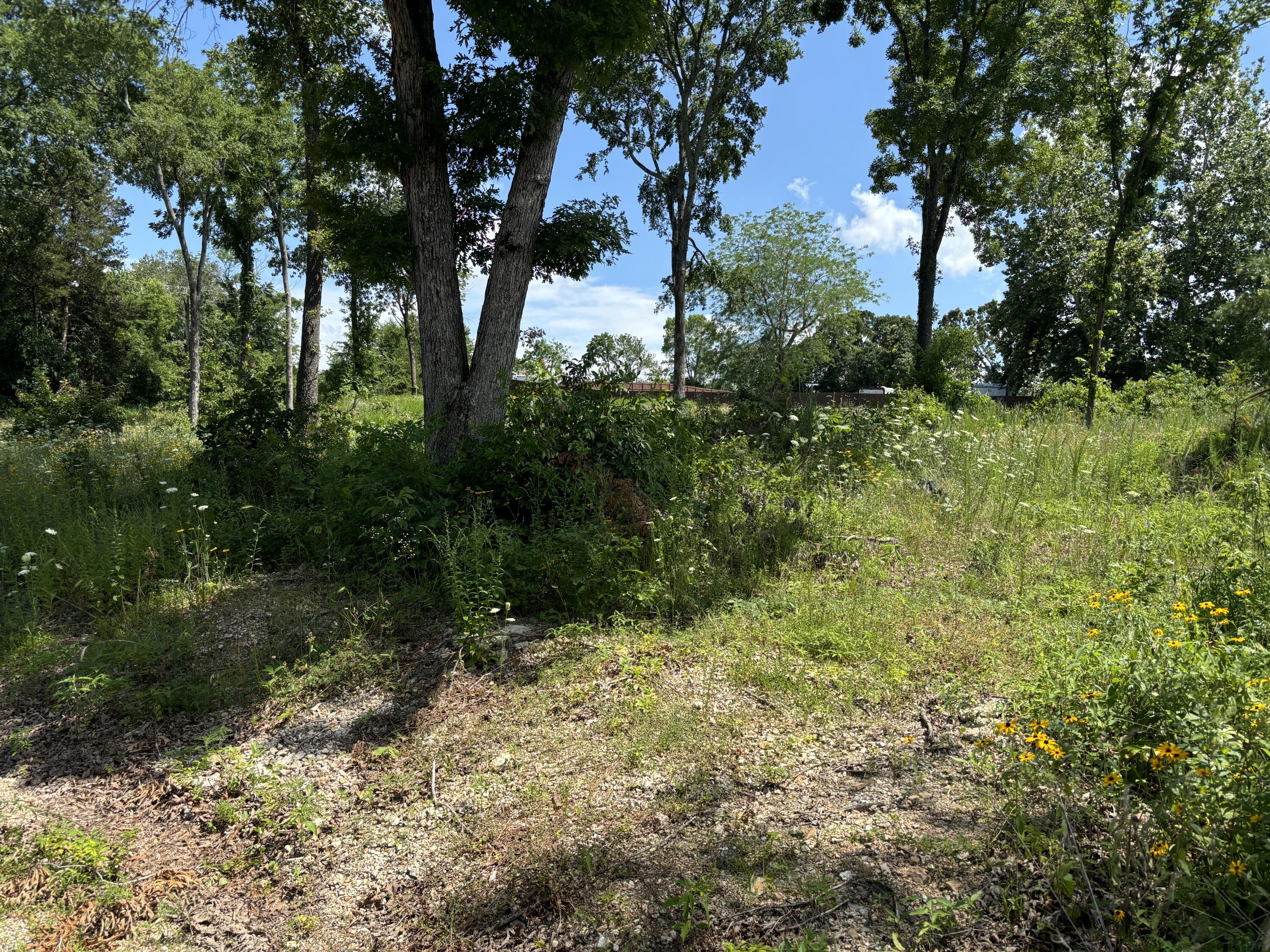 56 Northfork Lane Property Photo 2