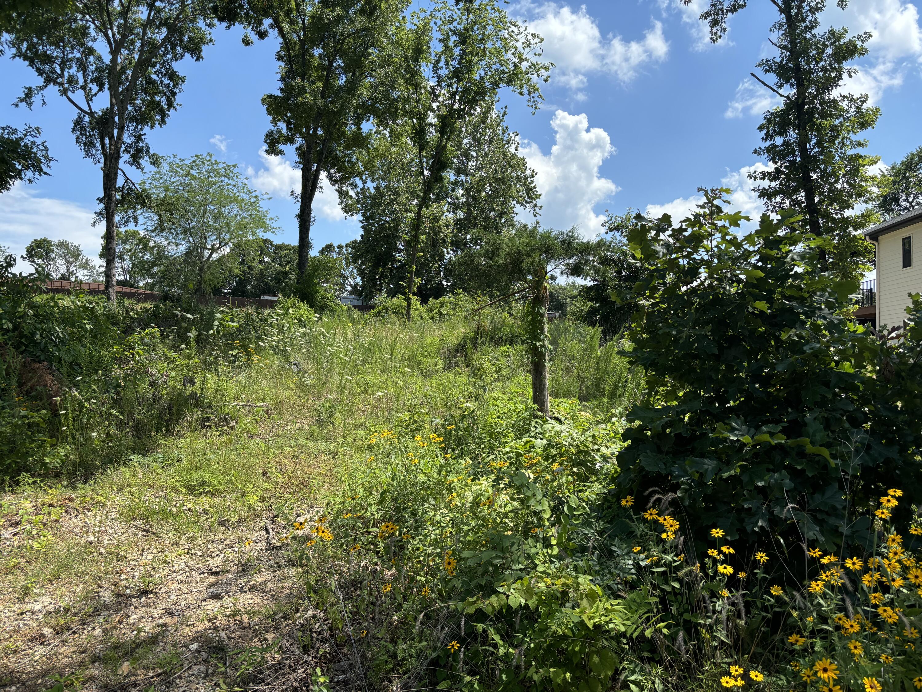 56 Northfork Lane Property Photo 3