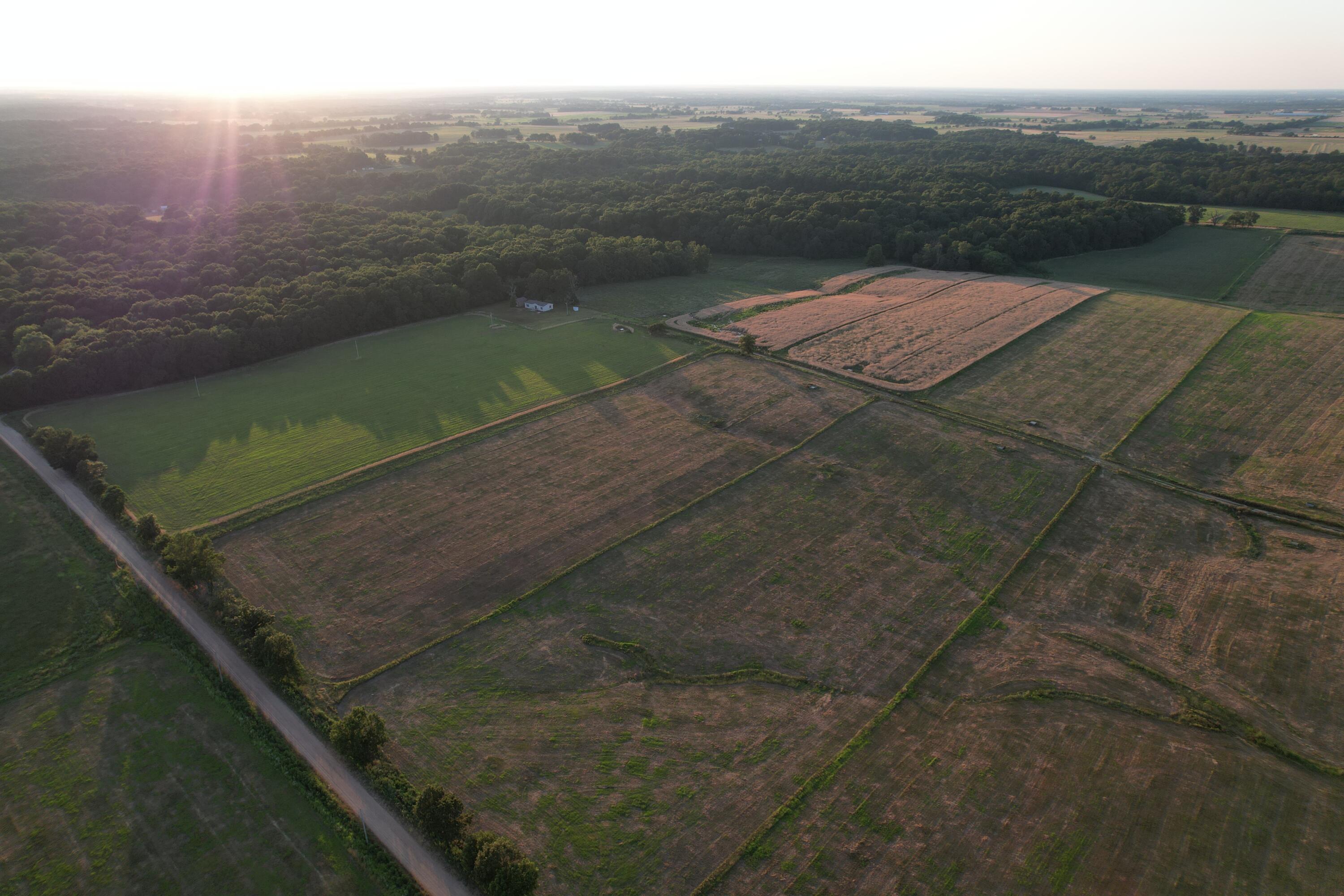 26548 Foliage Road Property Photo 2