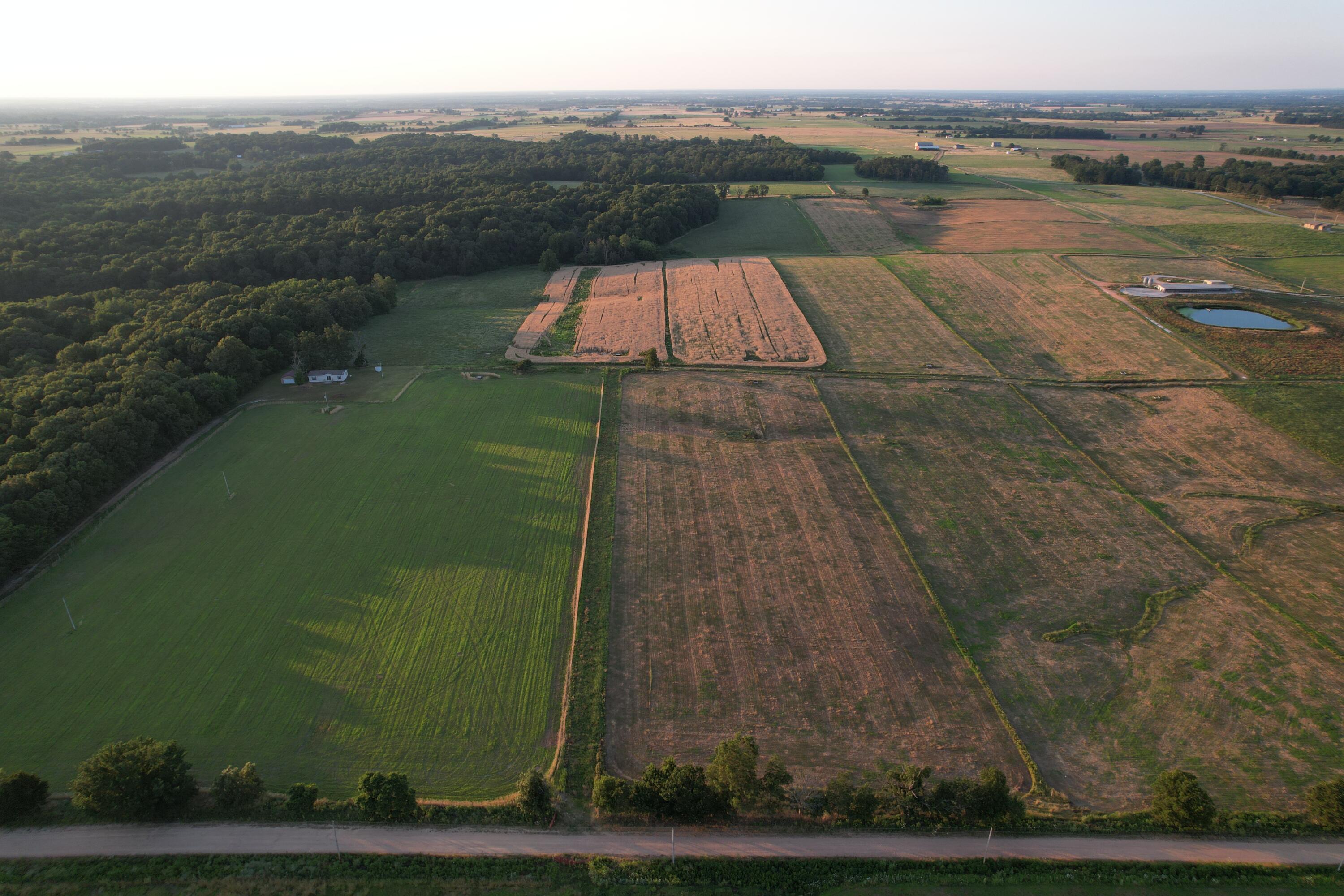 26548 Foliage Road Property Photo 3