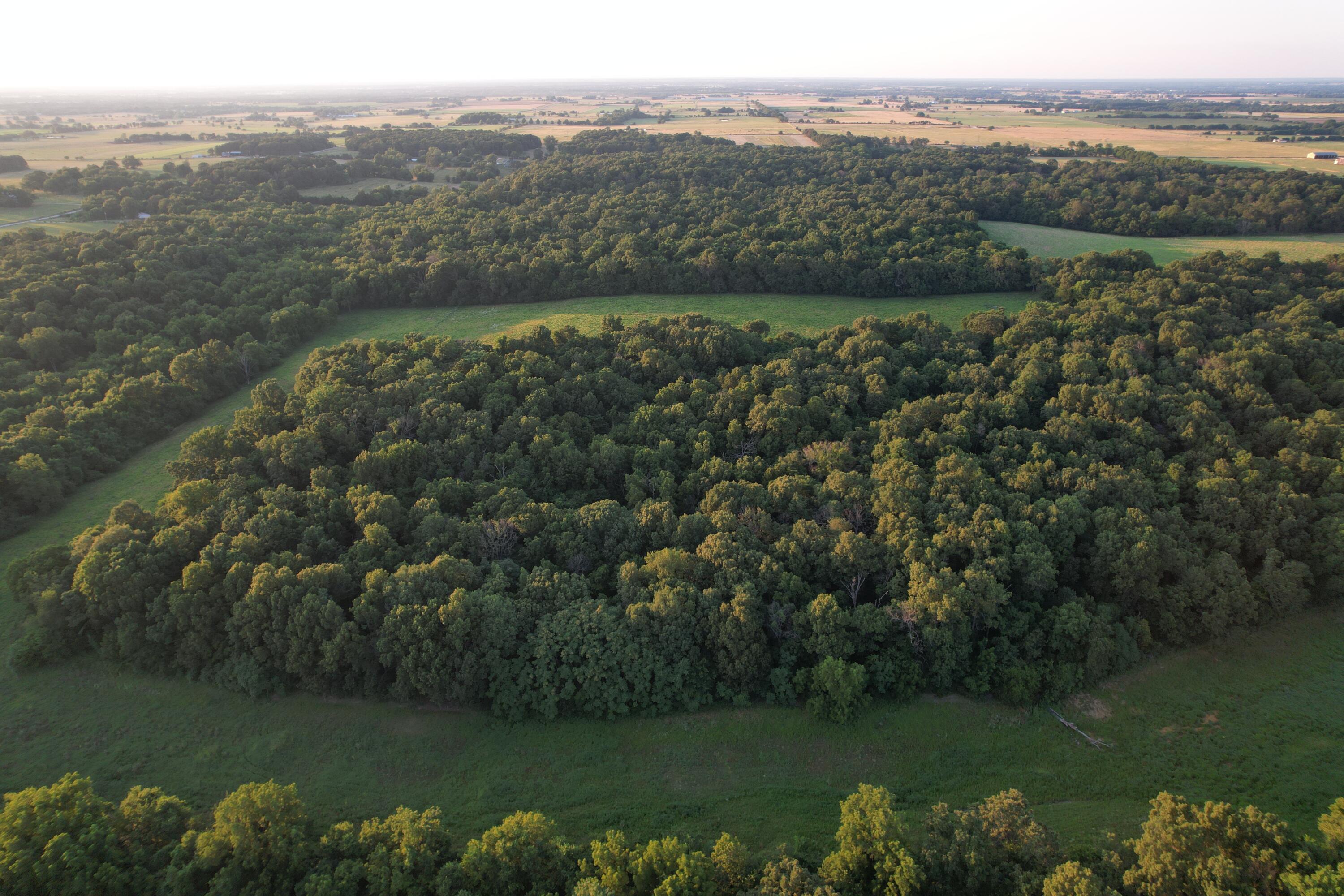 26548 Foliage Road Property Photo 8