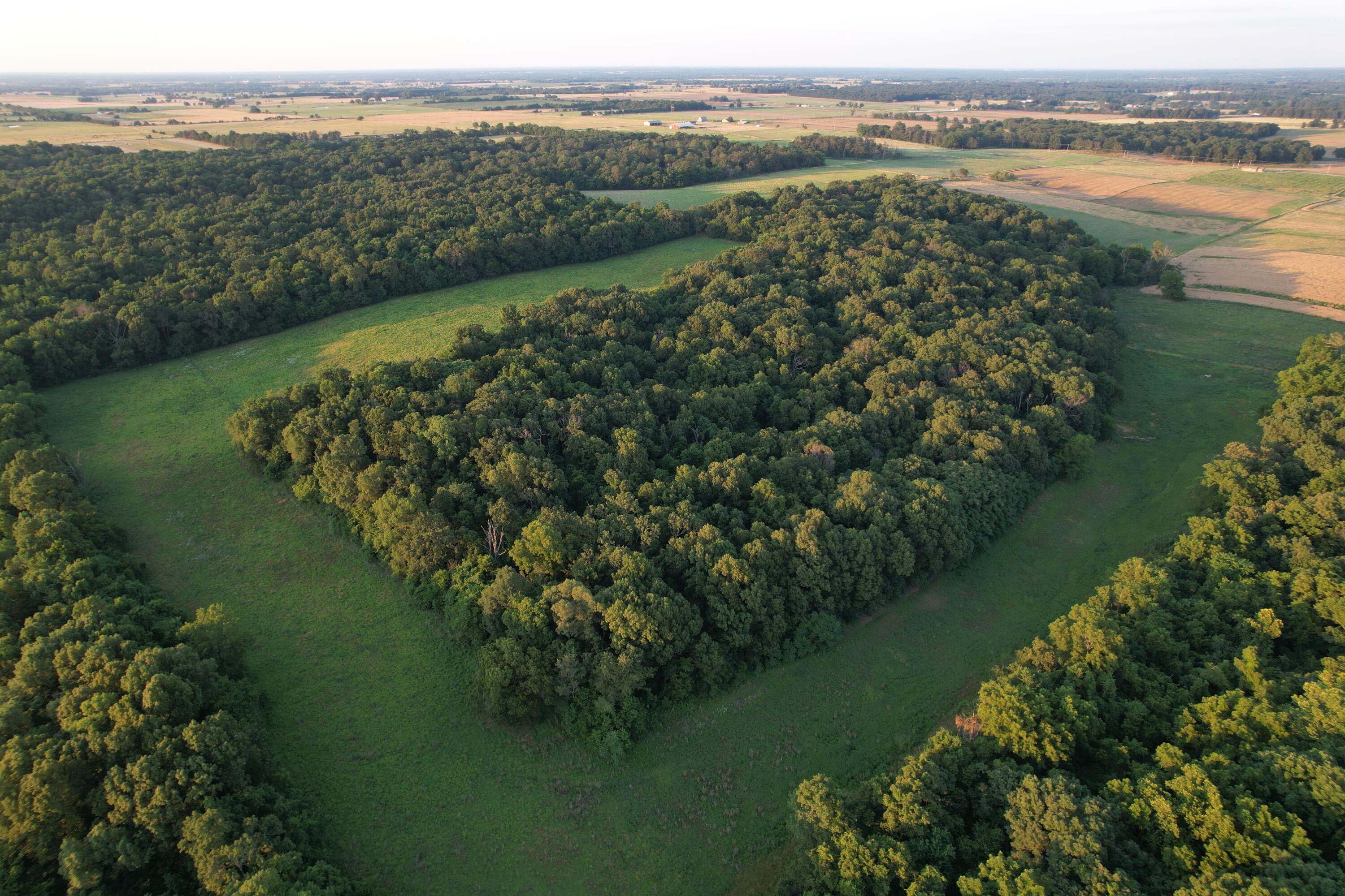 26548 Foliage Road Property Photo 9