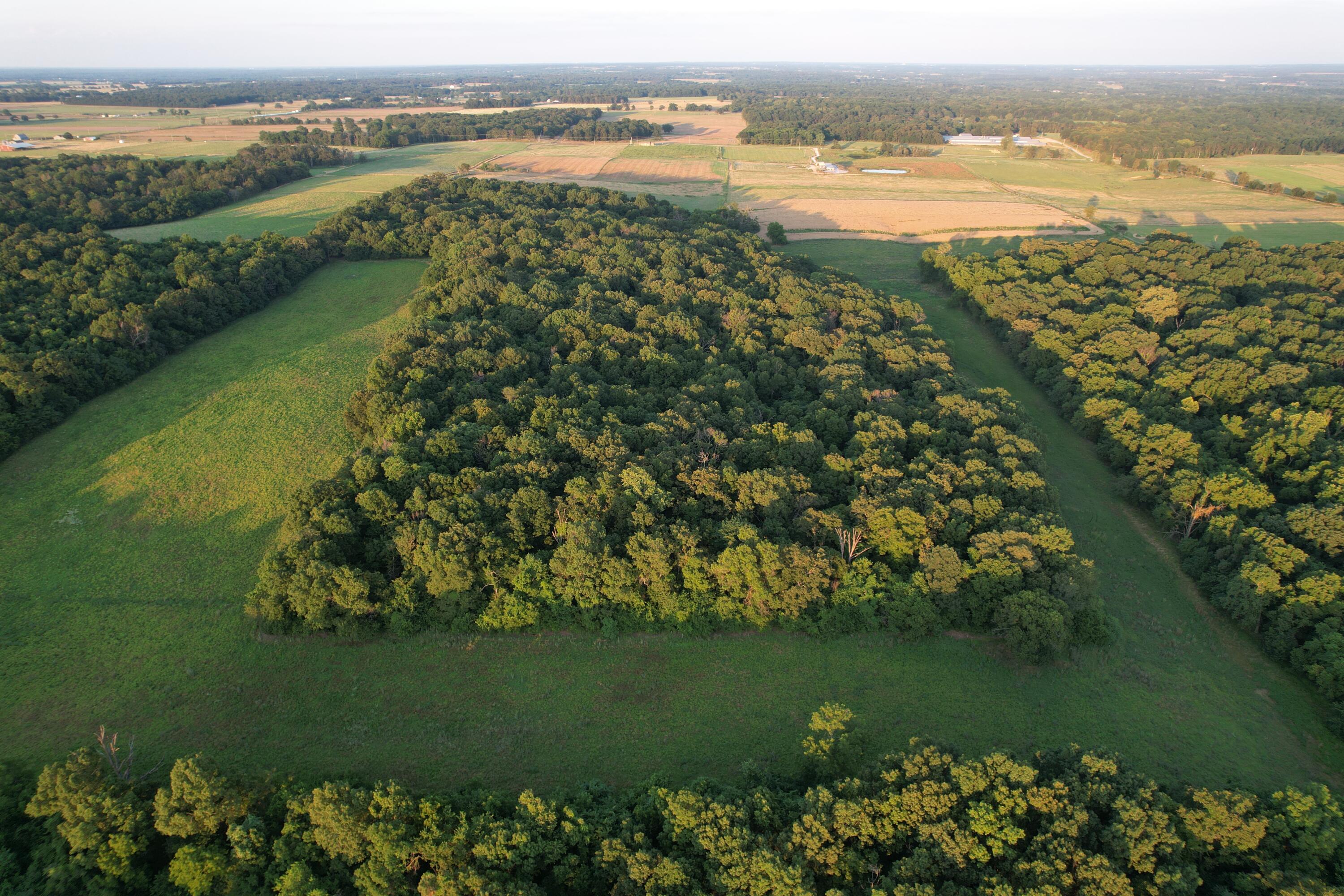 26548 Foliage Road Property Photo 10