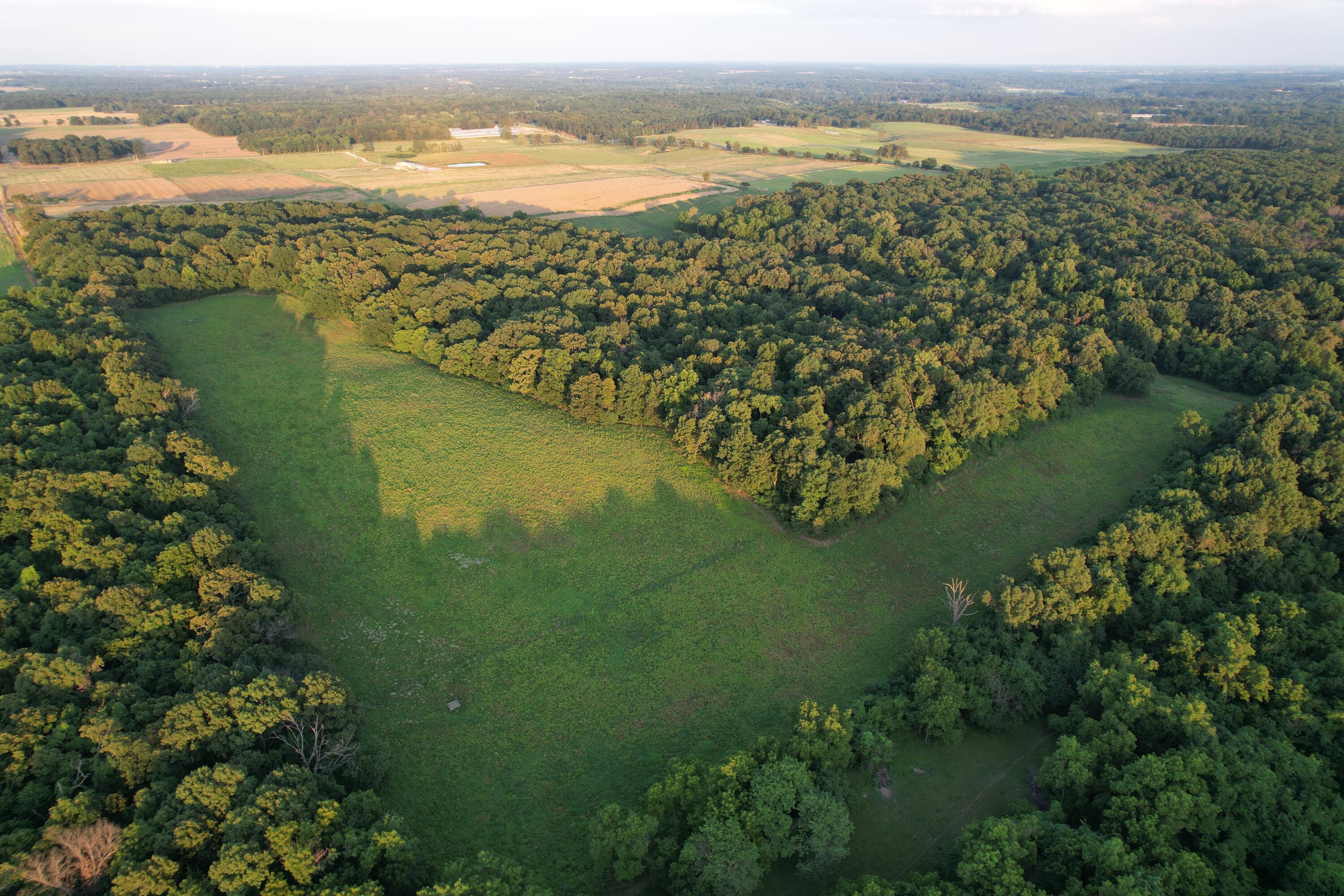 26548 Foliage Road Property Photo 11