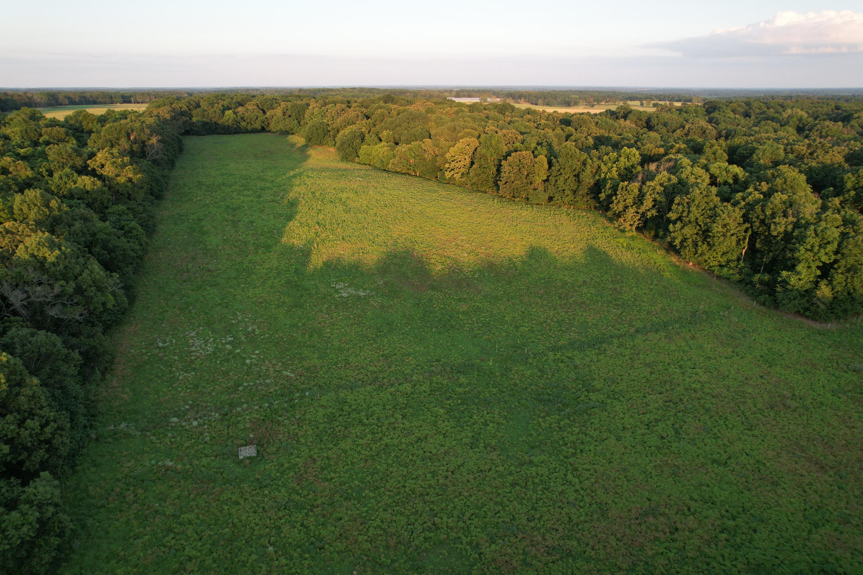 26548 Foliage Road Property Photo 12