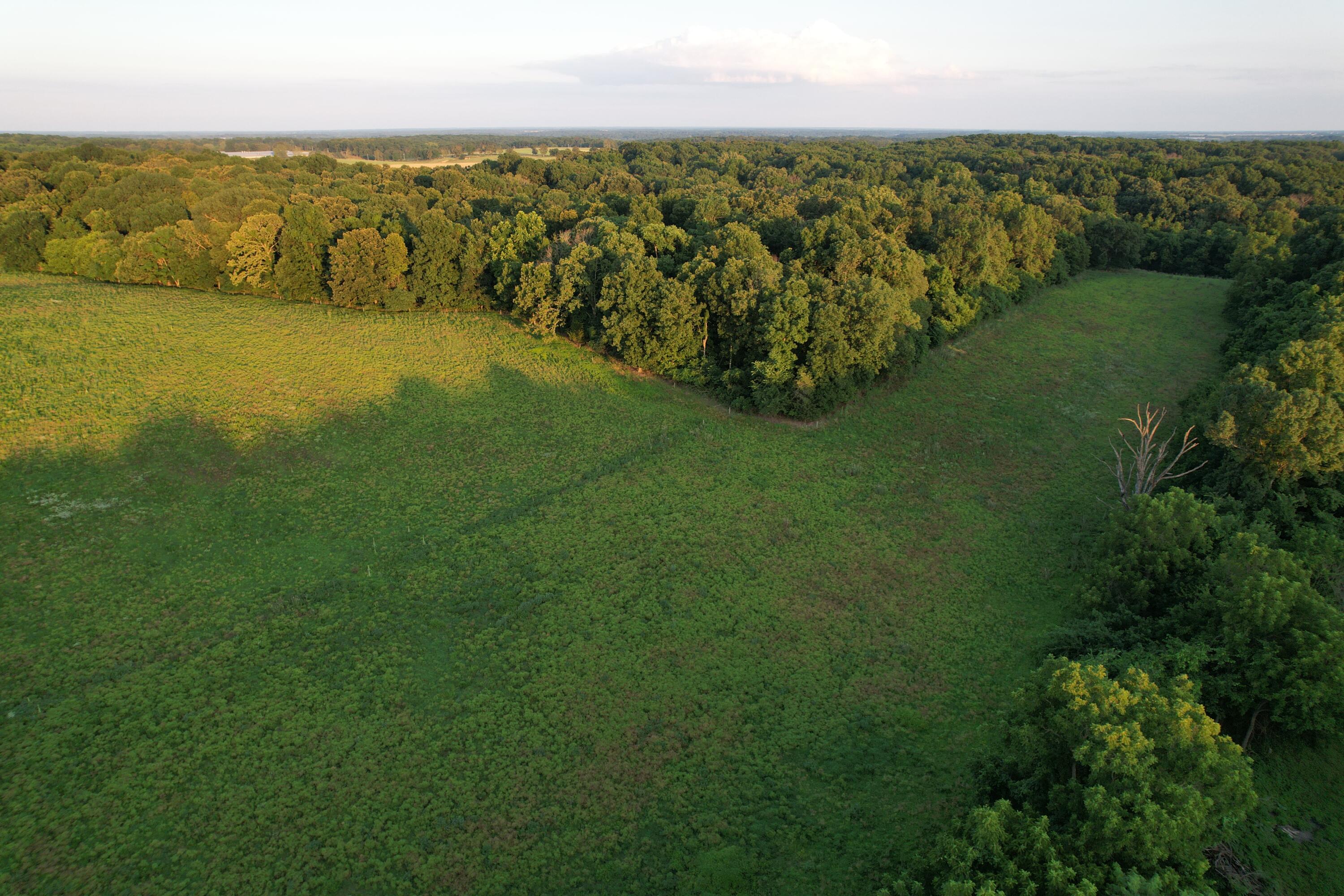 26548 Foliage Road Property Photo 13