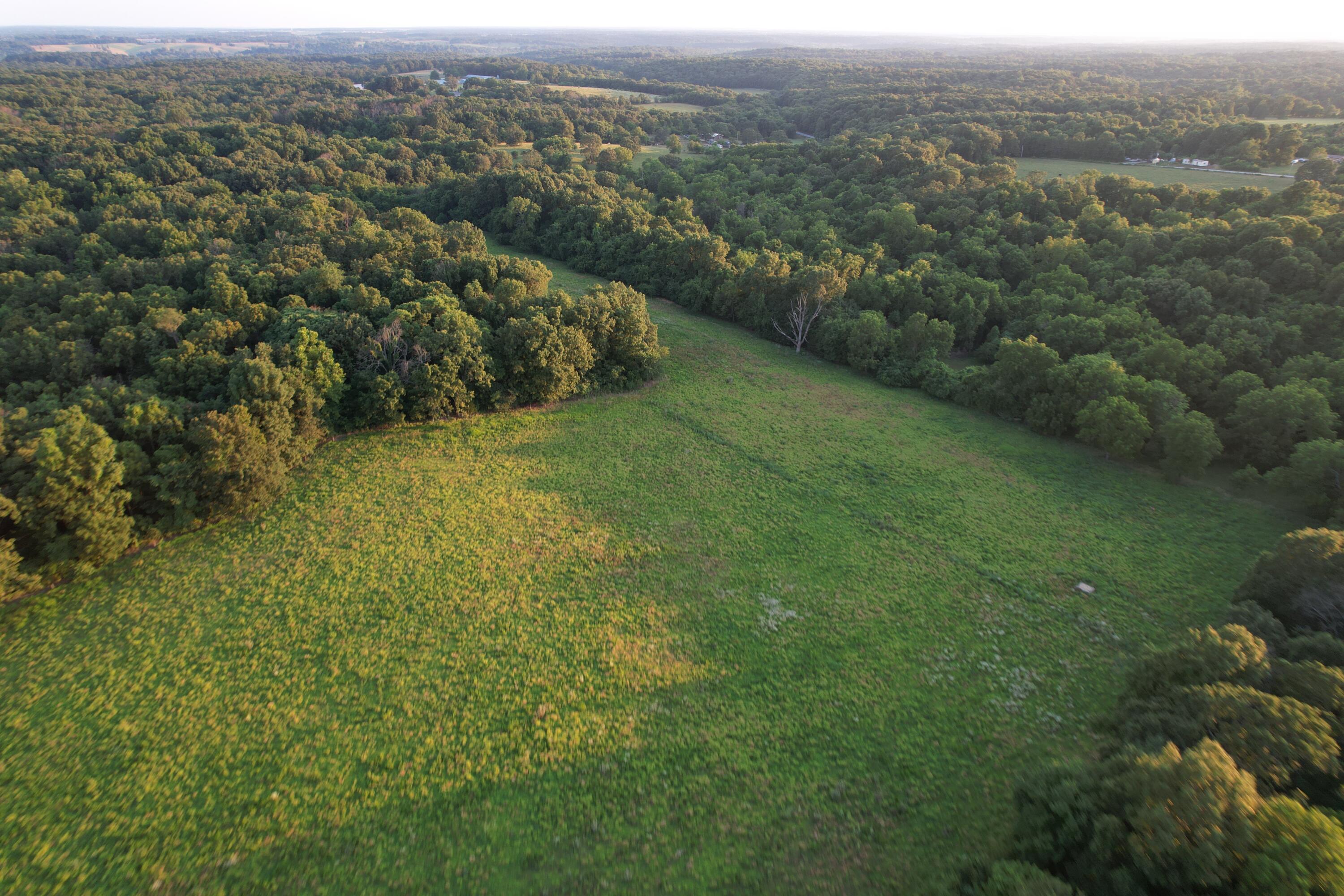 26548 Foliage Road Property Photo 14