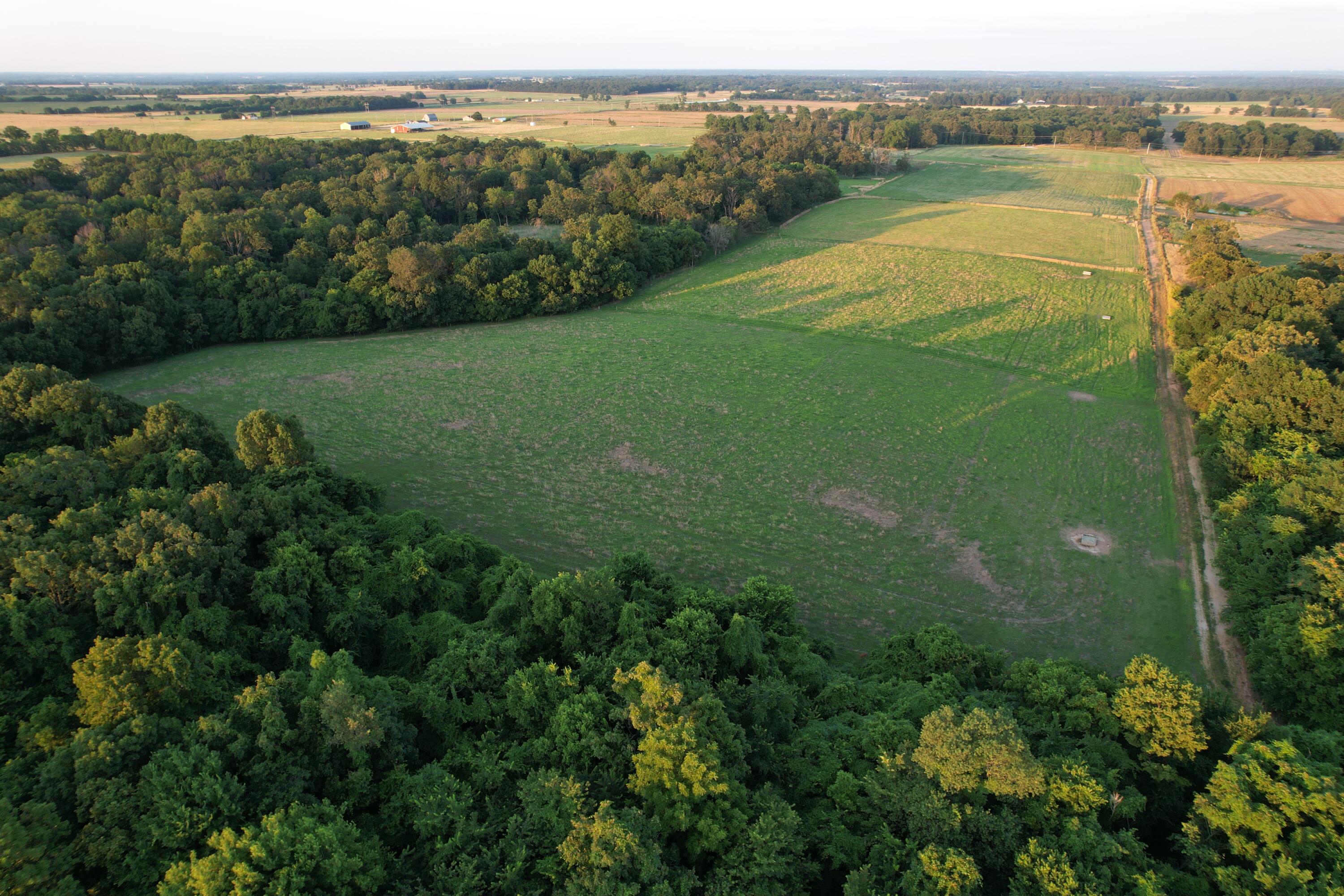 26548 Foliage Road Property Photo 16
