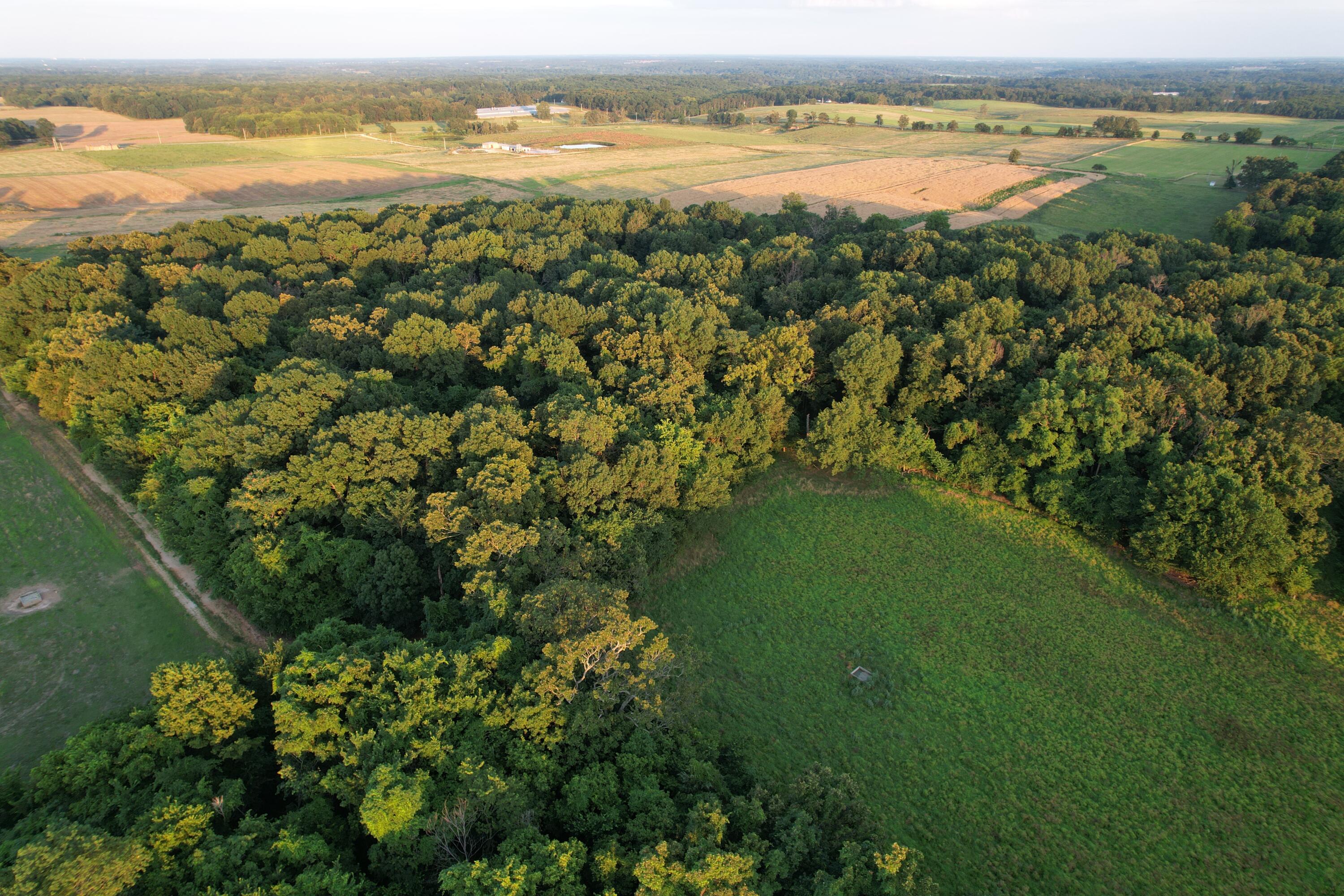 26548 Foliage Road Property Photo 17
