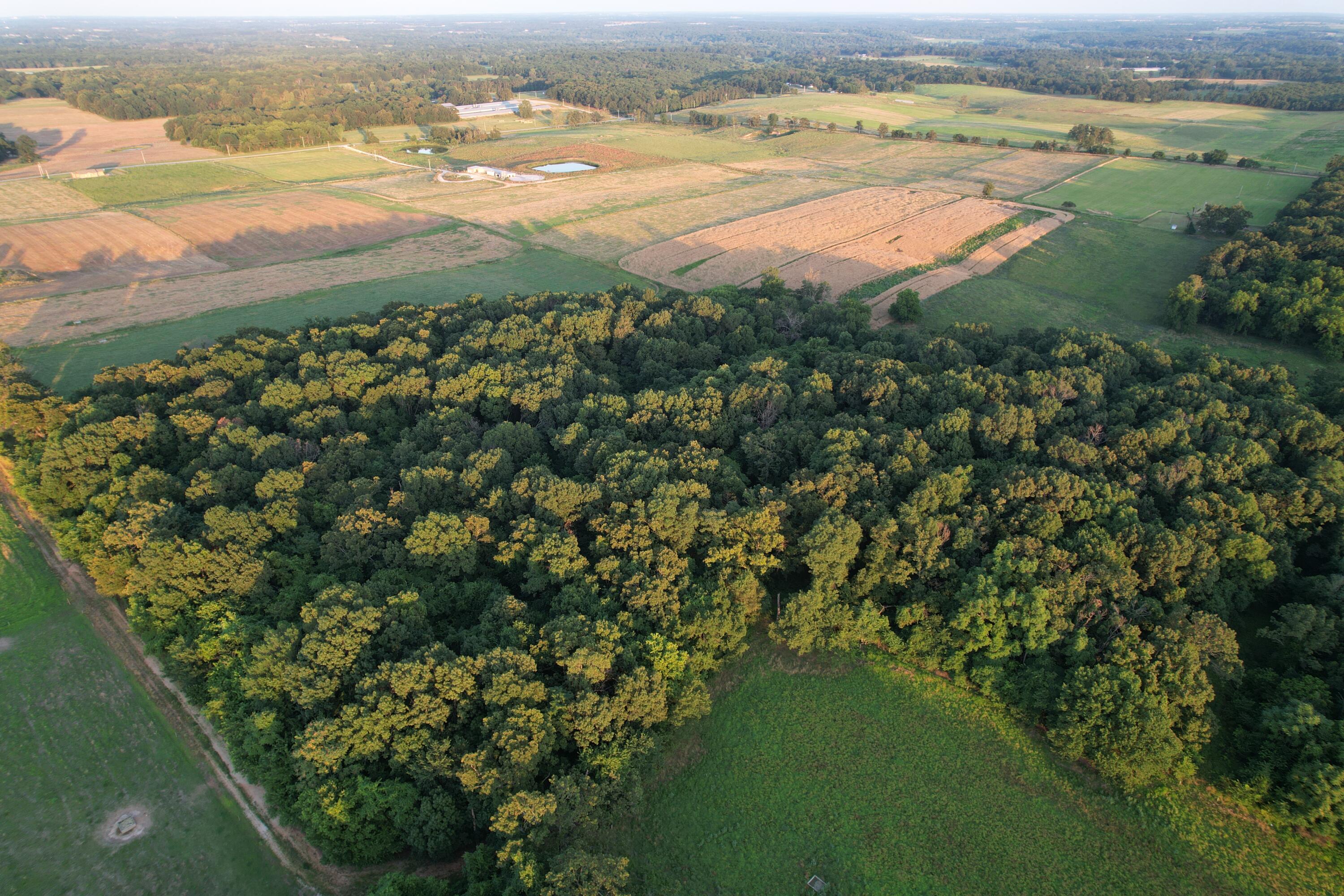 26548 Foliage Road Property Photo 18