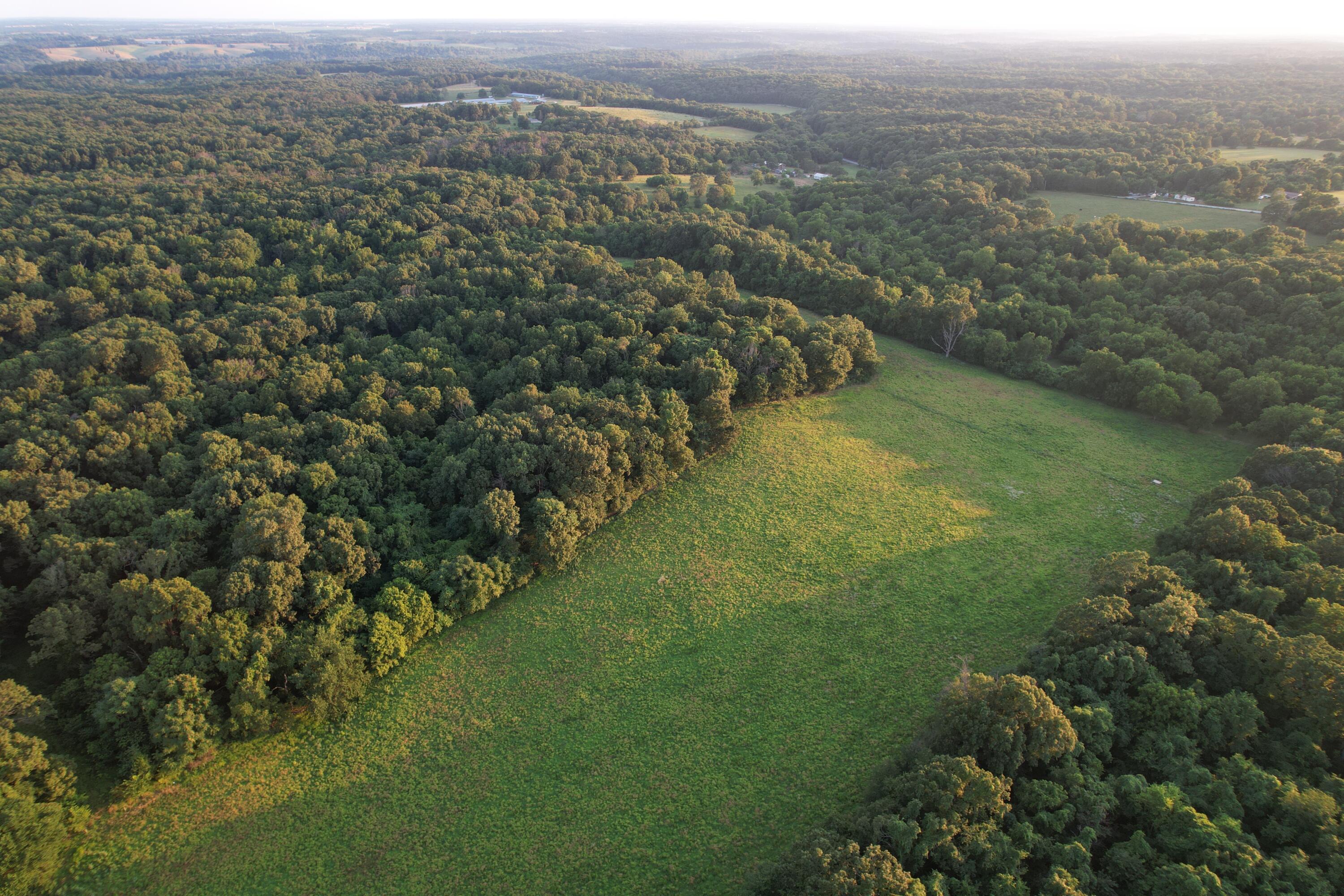 26548 Foliage Road Property Photo 19