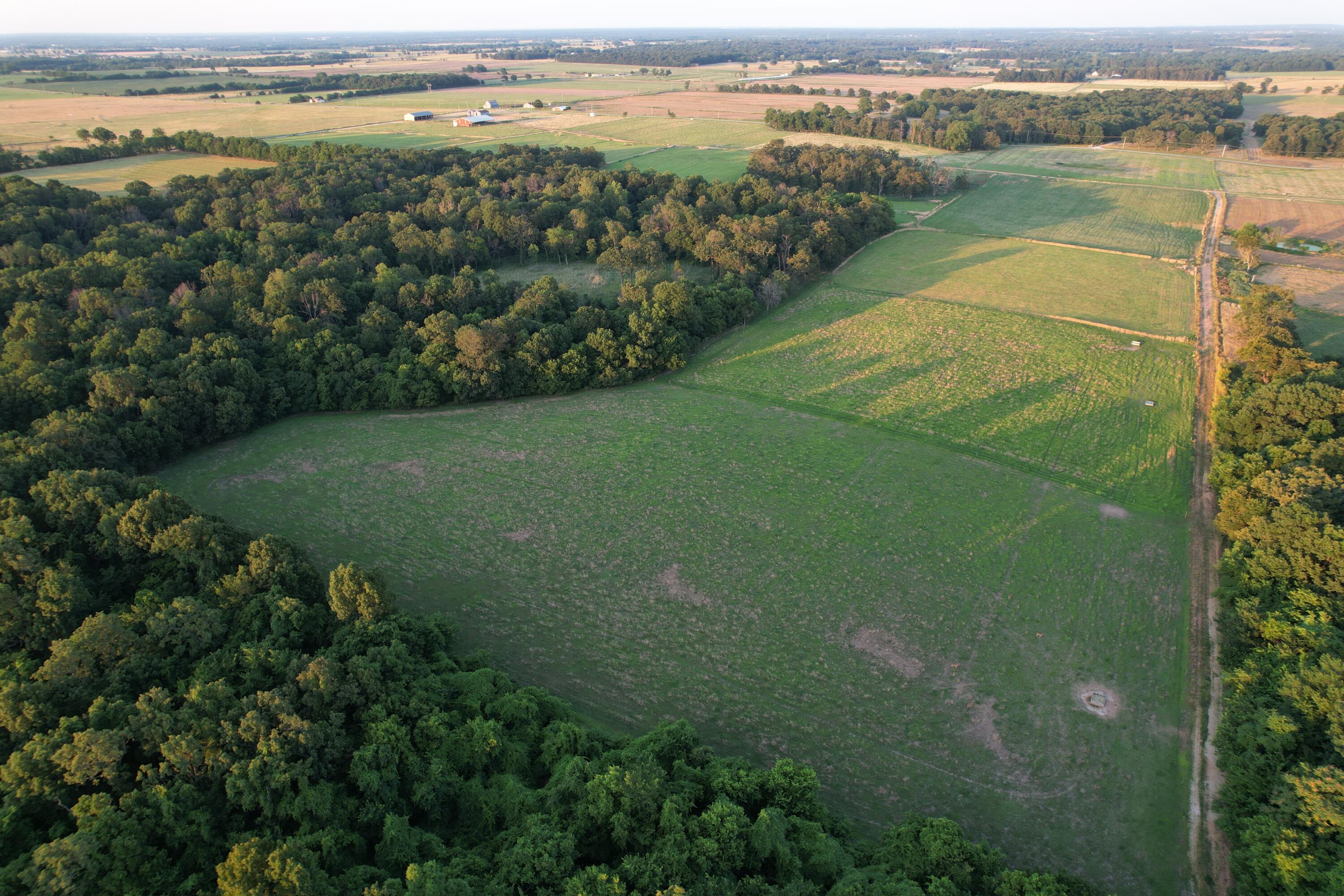 26548 Foliage Road Property Photo 20