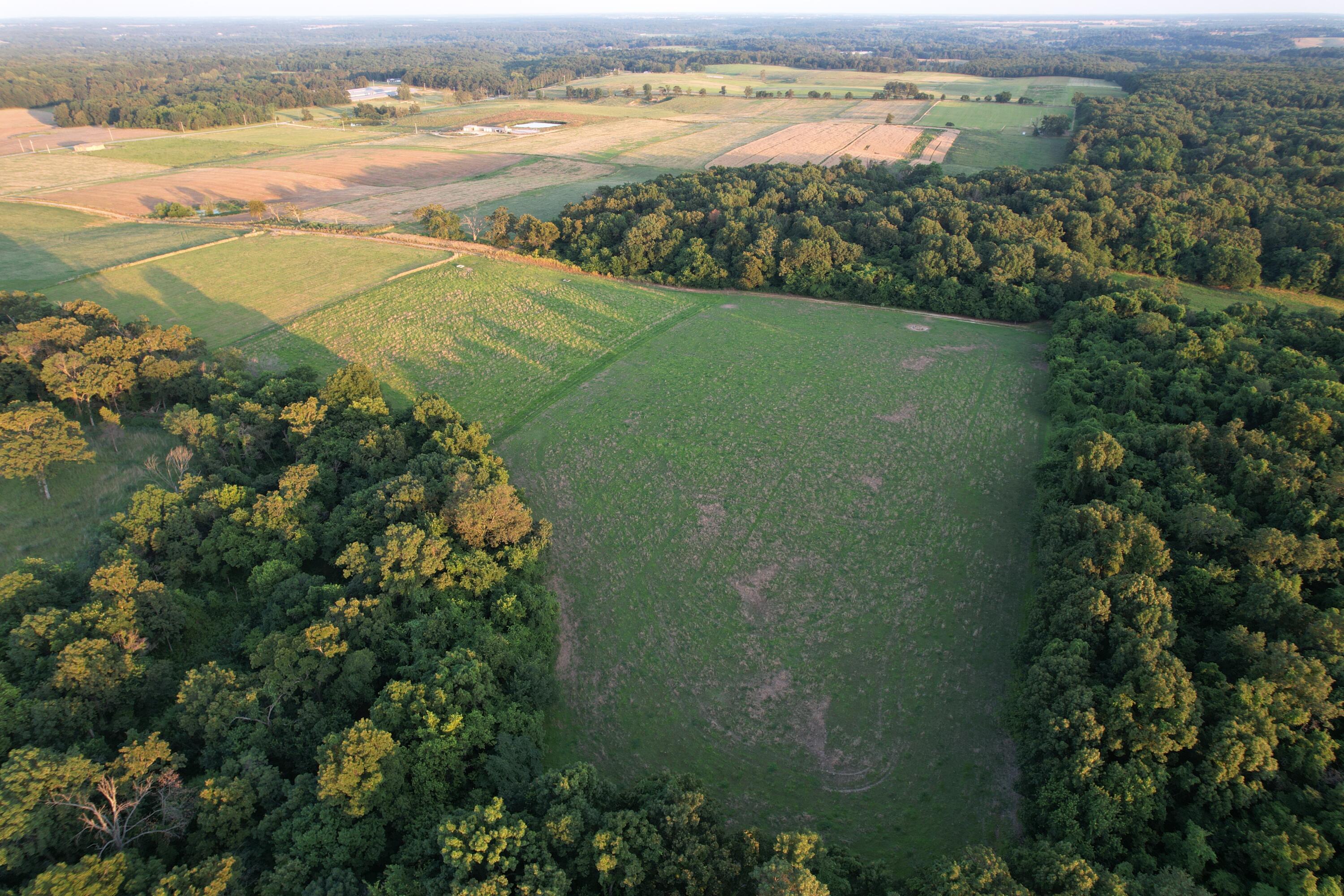26548 Foliage Road Property Photo 21