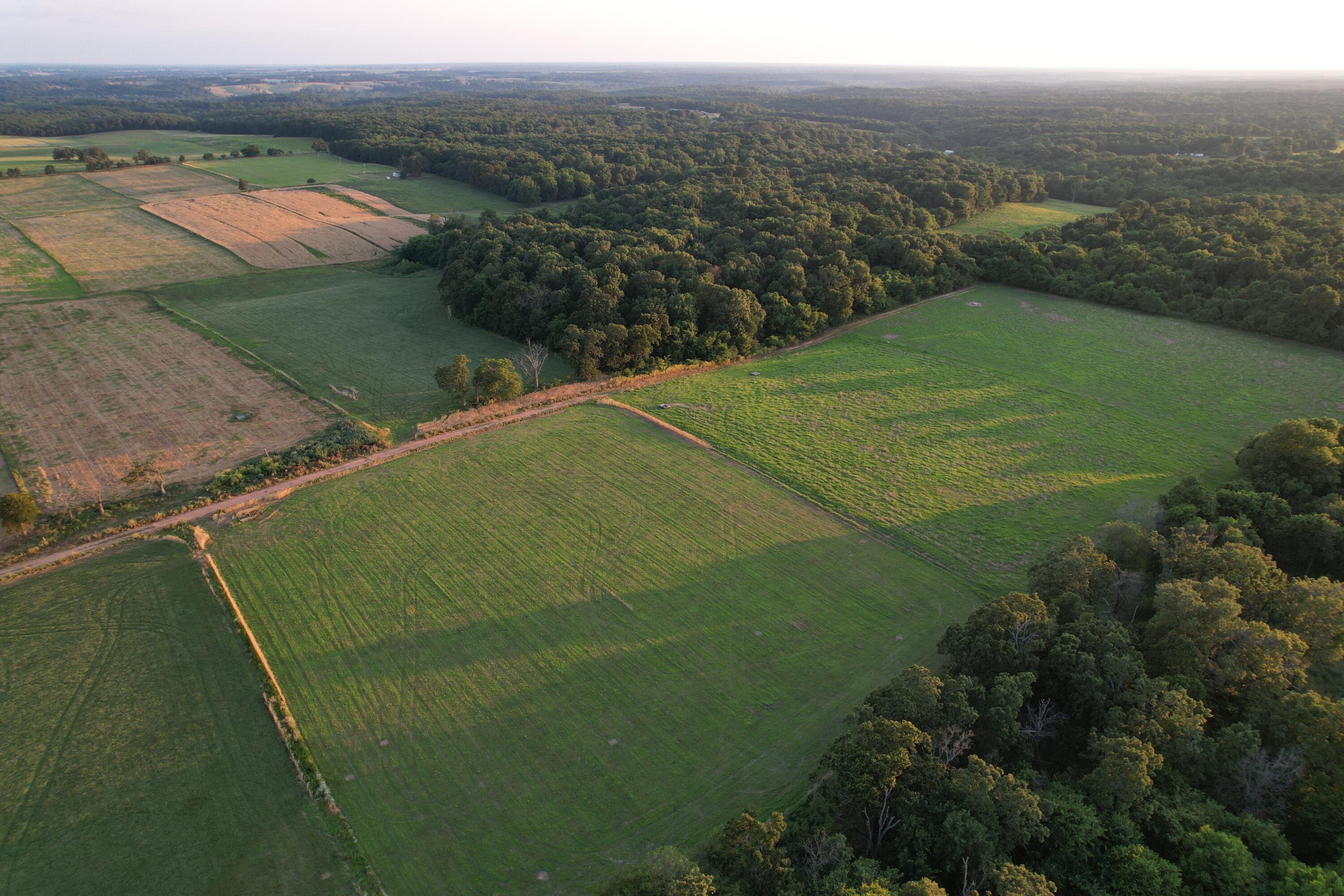 26548 Foliage Road Property Photo 23