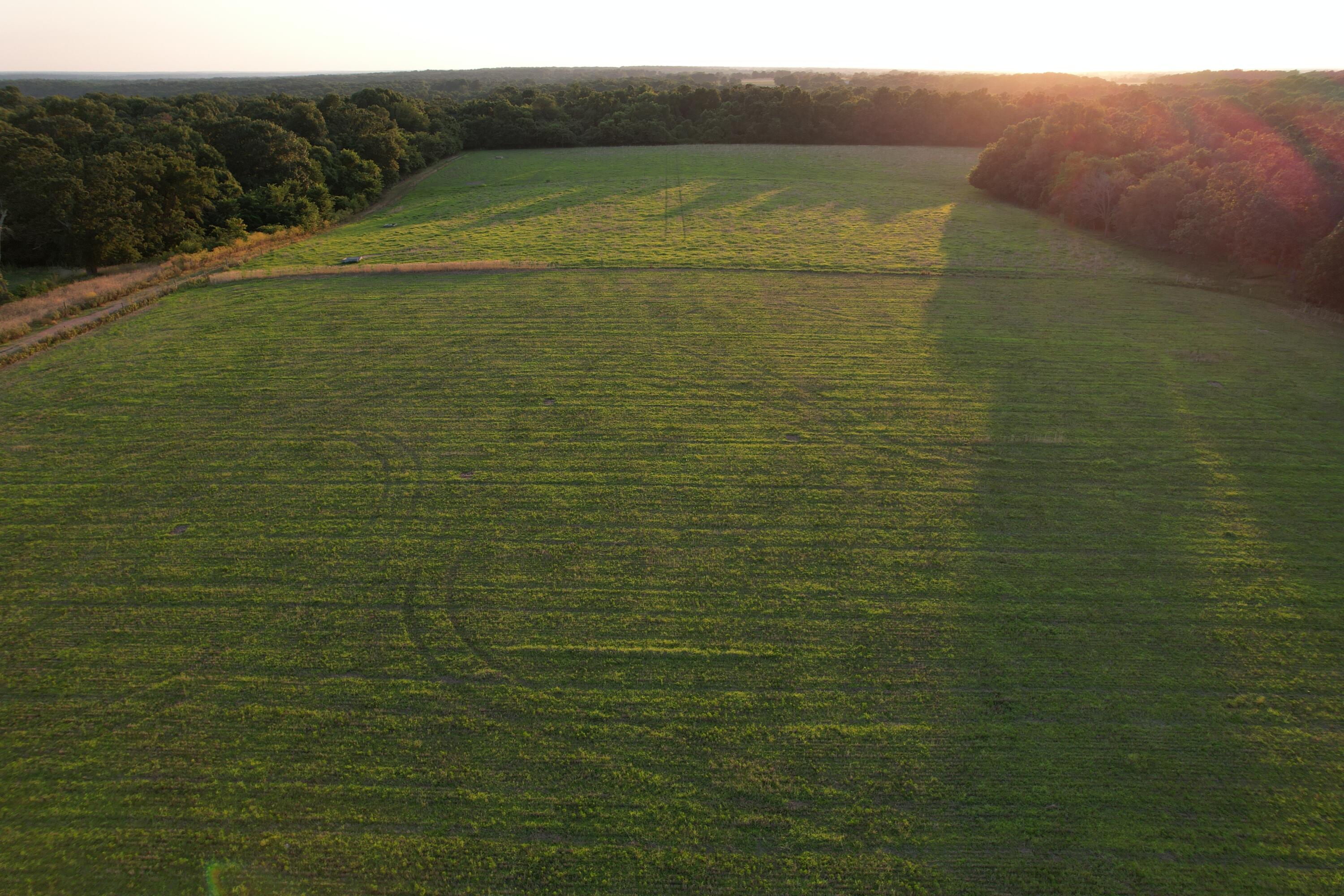 26548 Foliage Road Property Photo 25